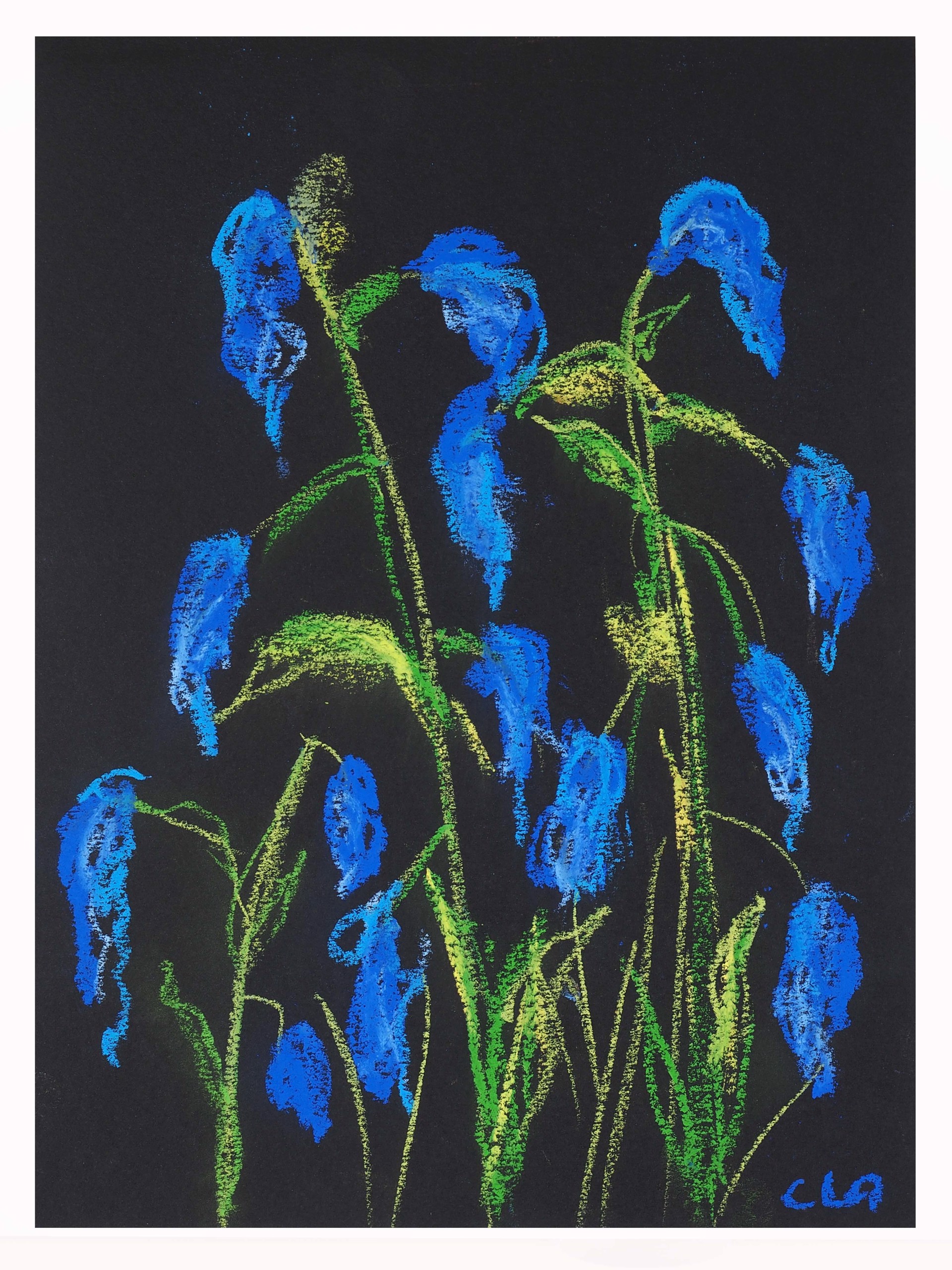 Bluebells by Carole LaRoche