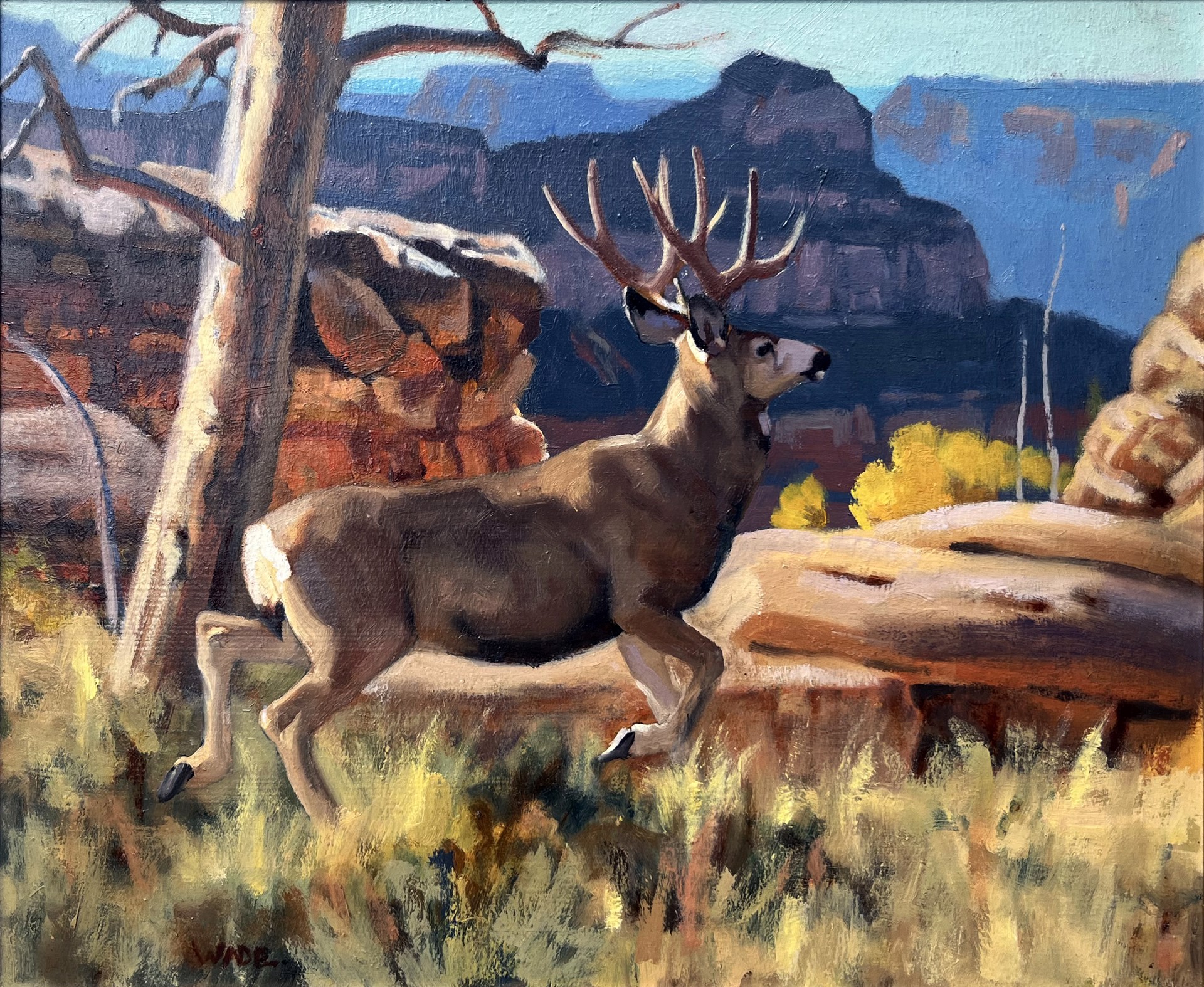 Mule Deer at Zion by Dave Wade