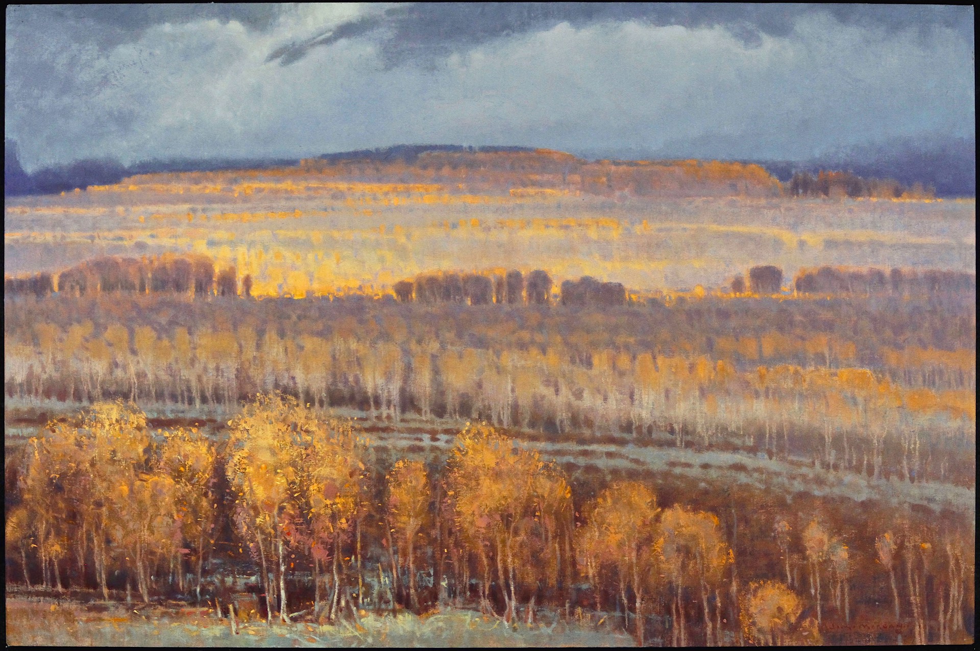 Autumn Patterns - Elk Country by Jim Morgan