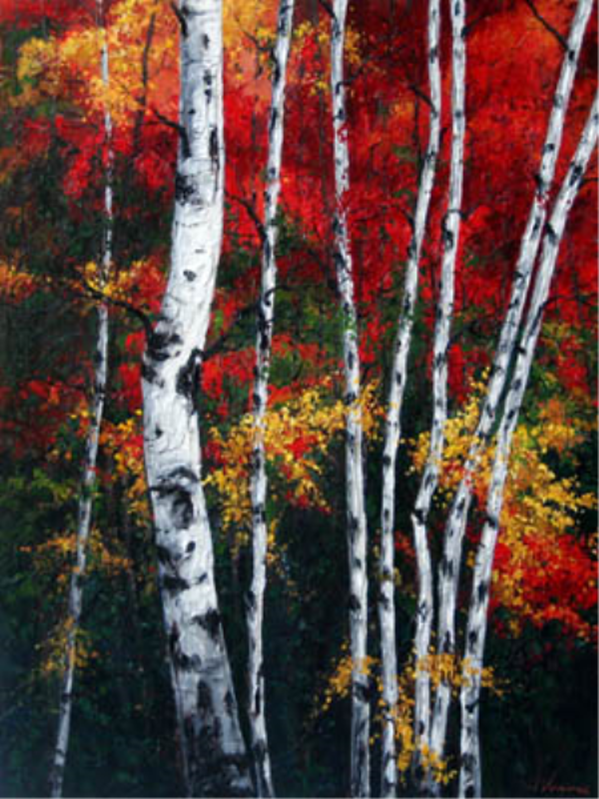 Burst of Fall (S/N) by Jennifer Vranes