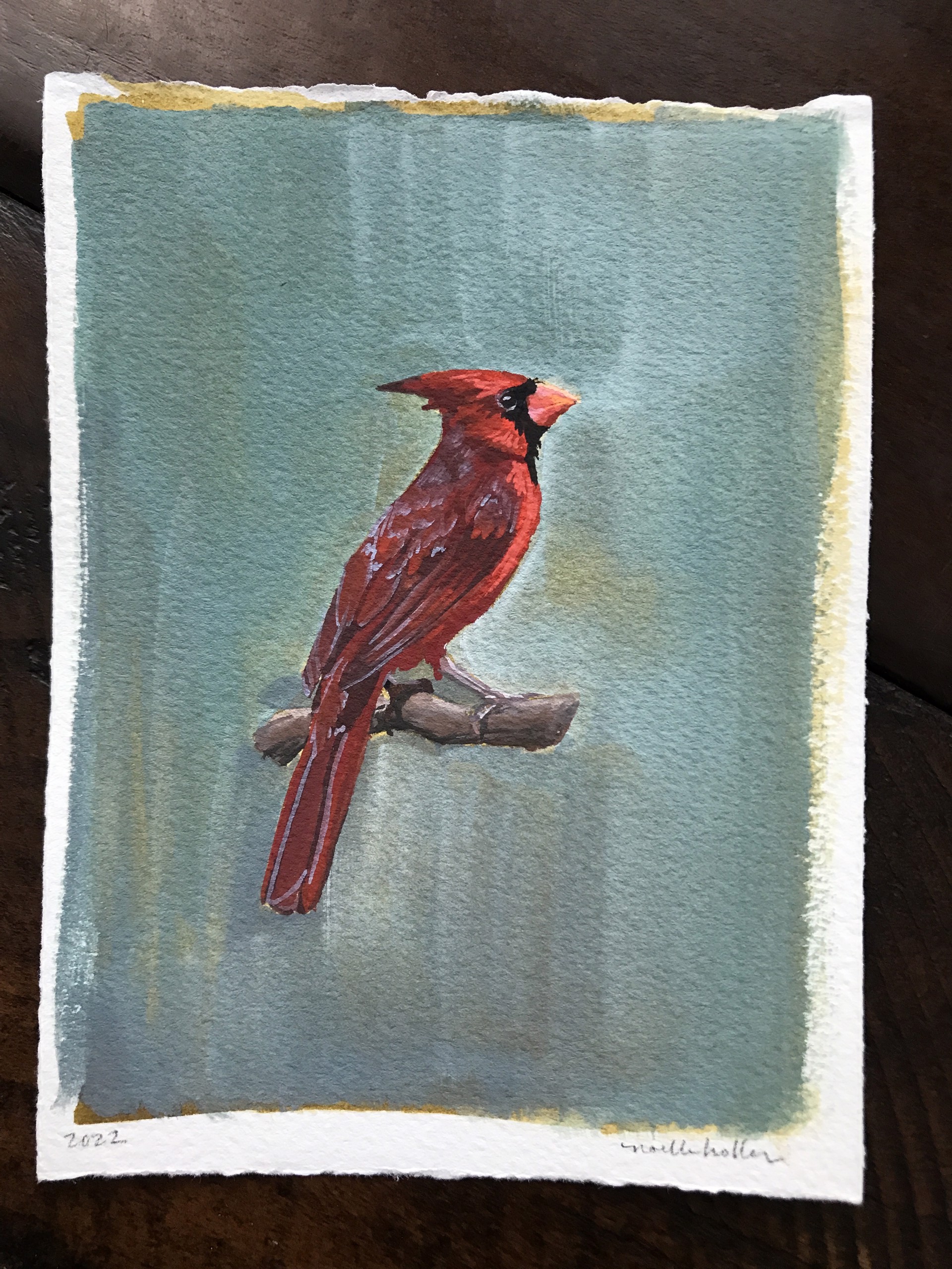 Cardinal by Noelle Holler