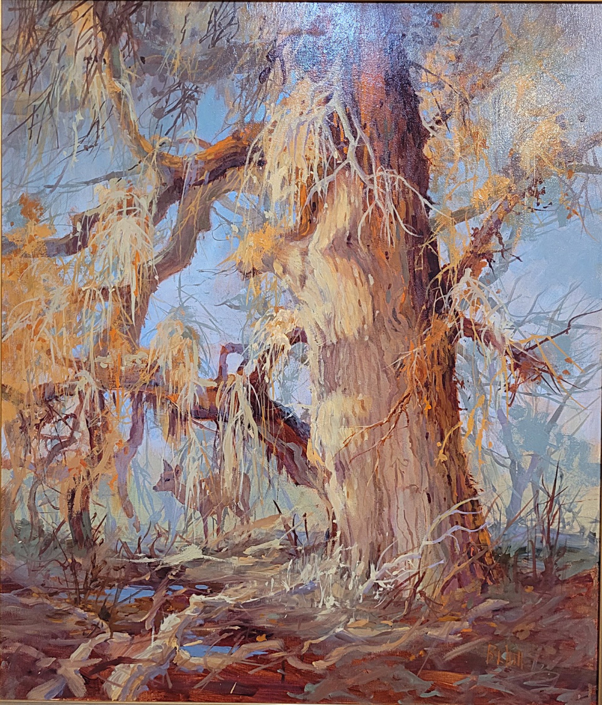 Old Cottonwood by Barbara Hill
