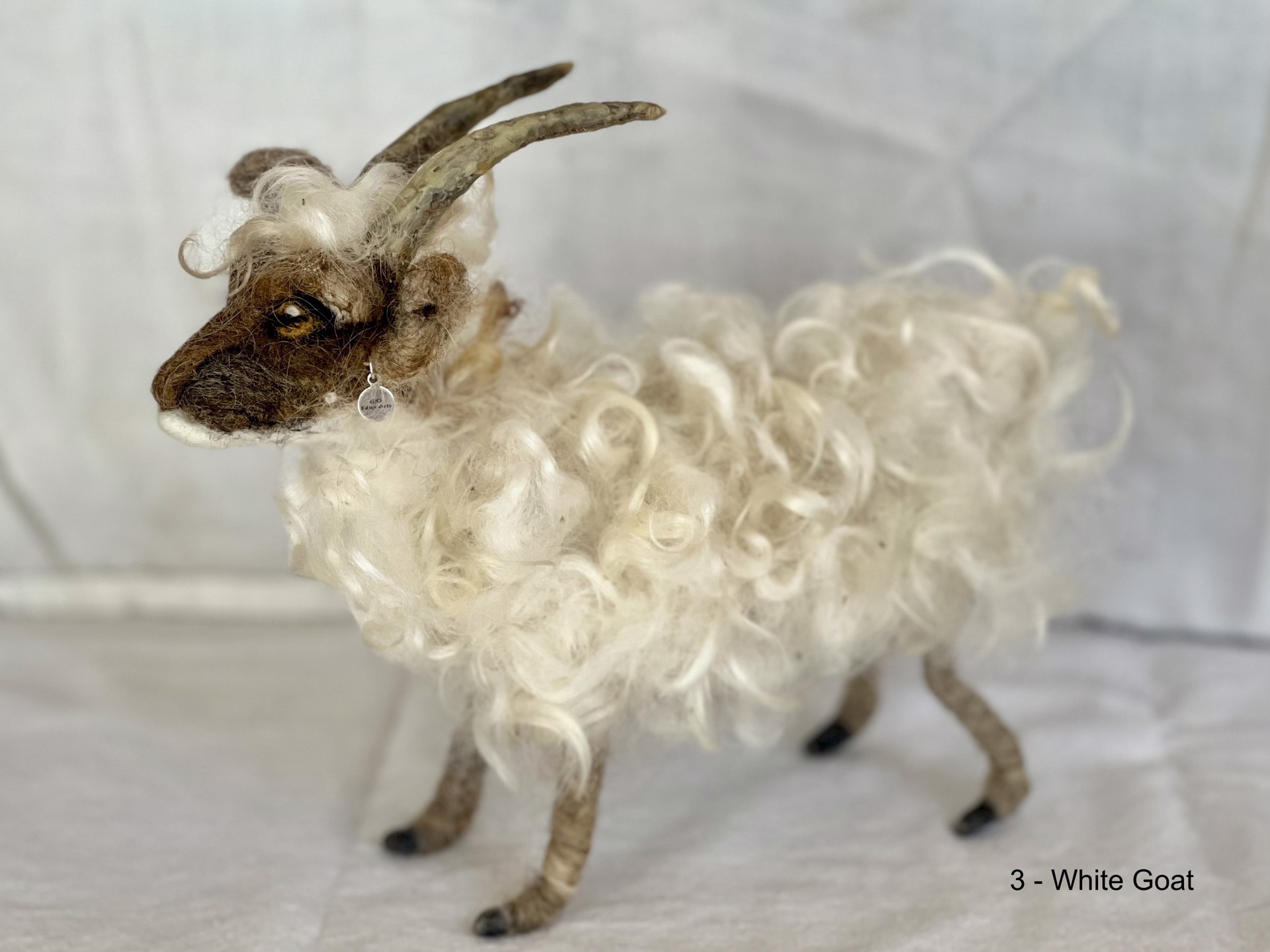 White Curly Goat by Barb Ottum
