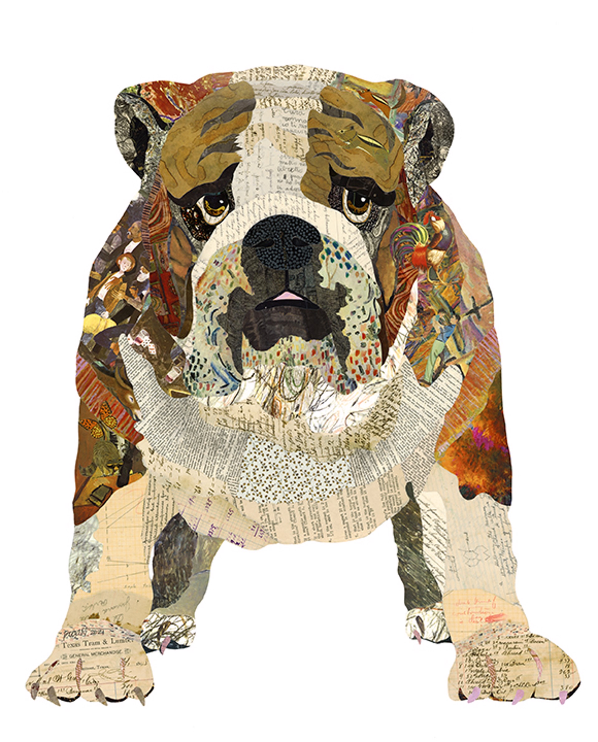 Bulldog 2 by Brenda Bogart - Prints