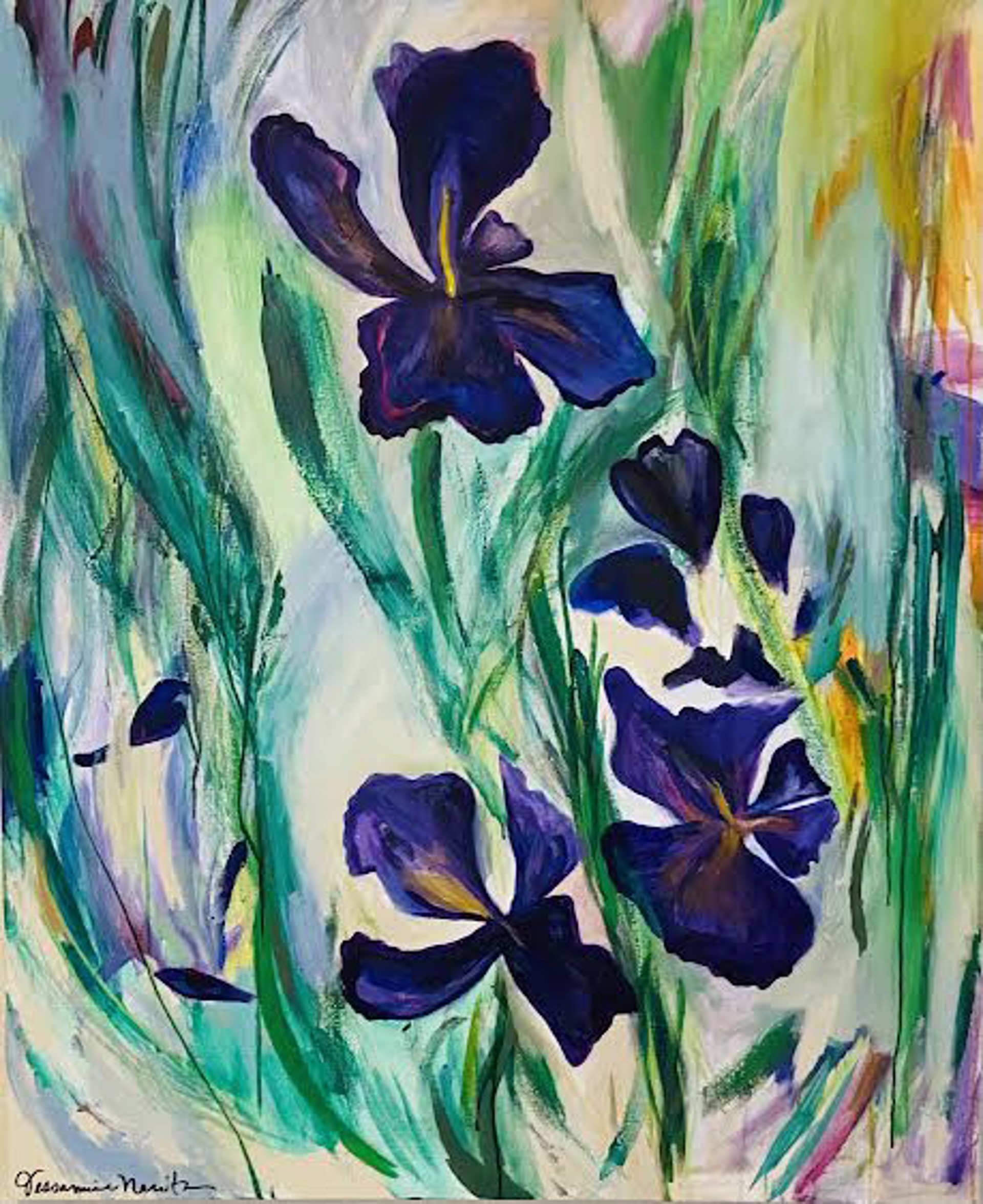 Taos Irises by Jessamine Narita