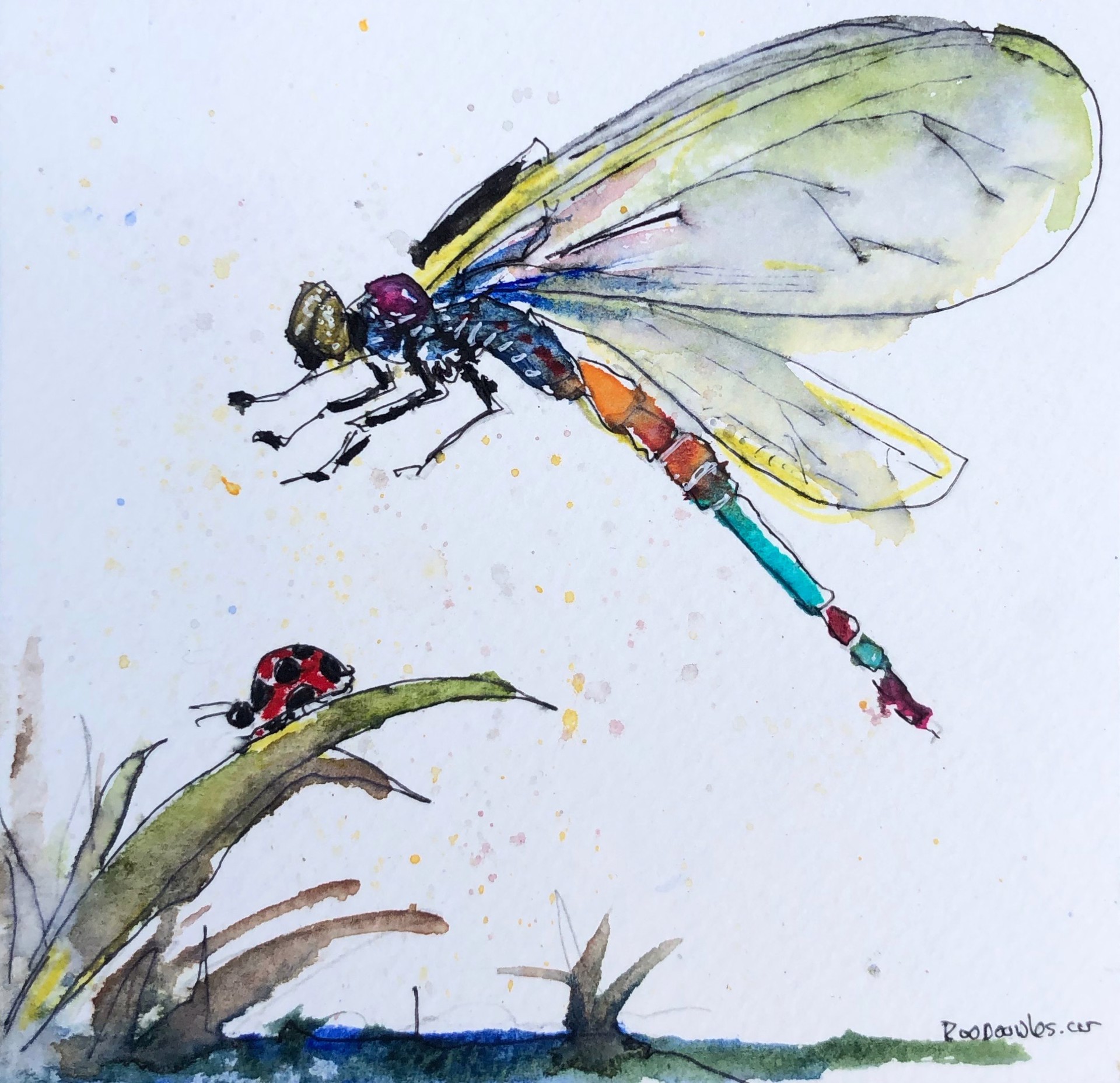 Dragonfly IV by Michael Haun