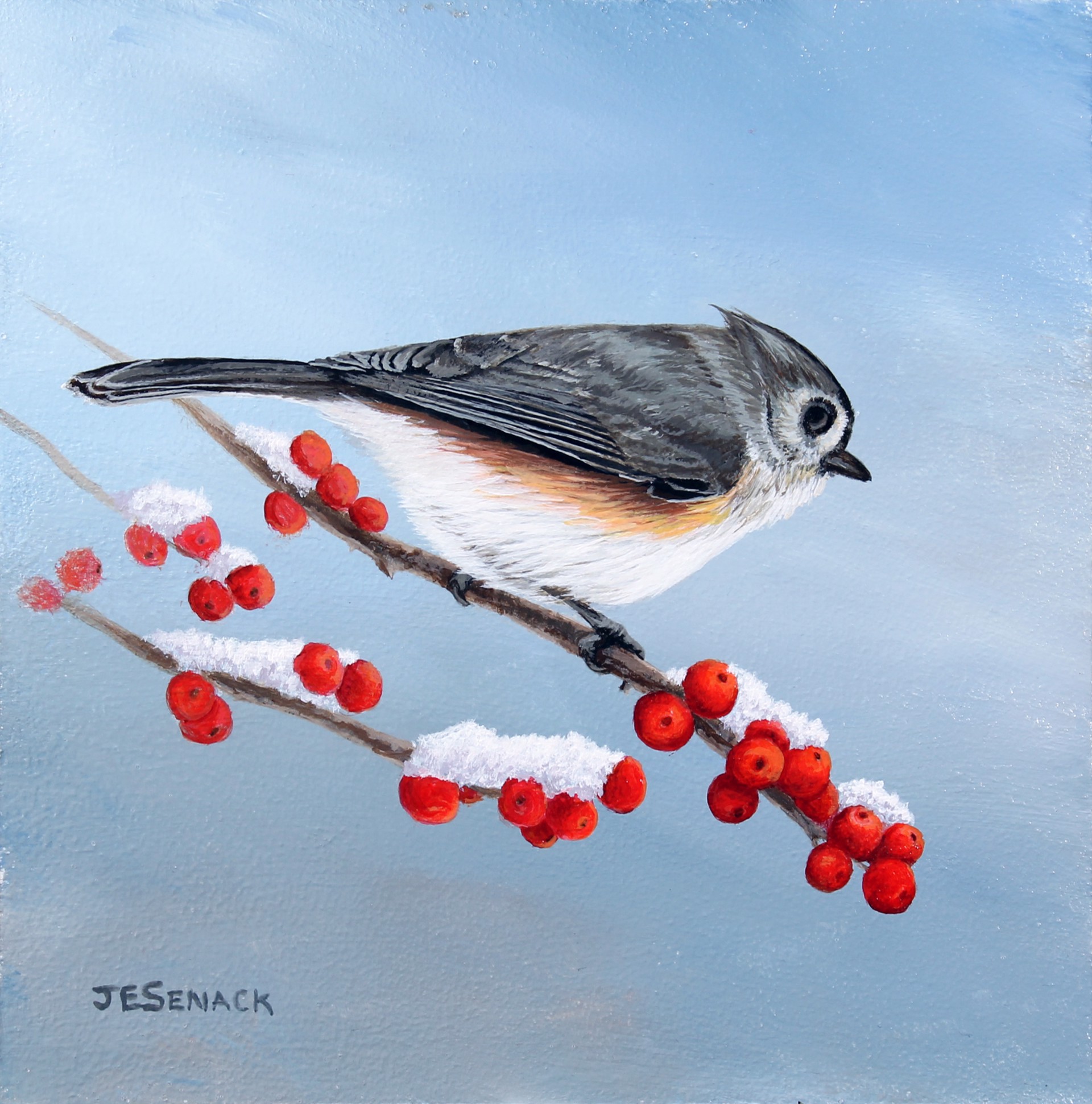 Tufted Titmouse with Winterberries by J.Elaine Senack