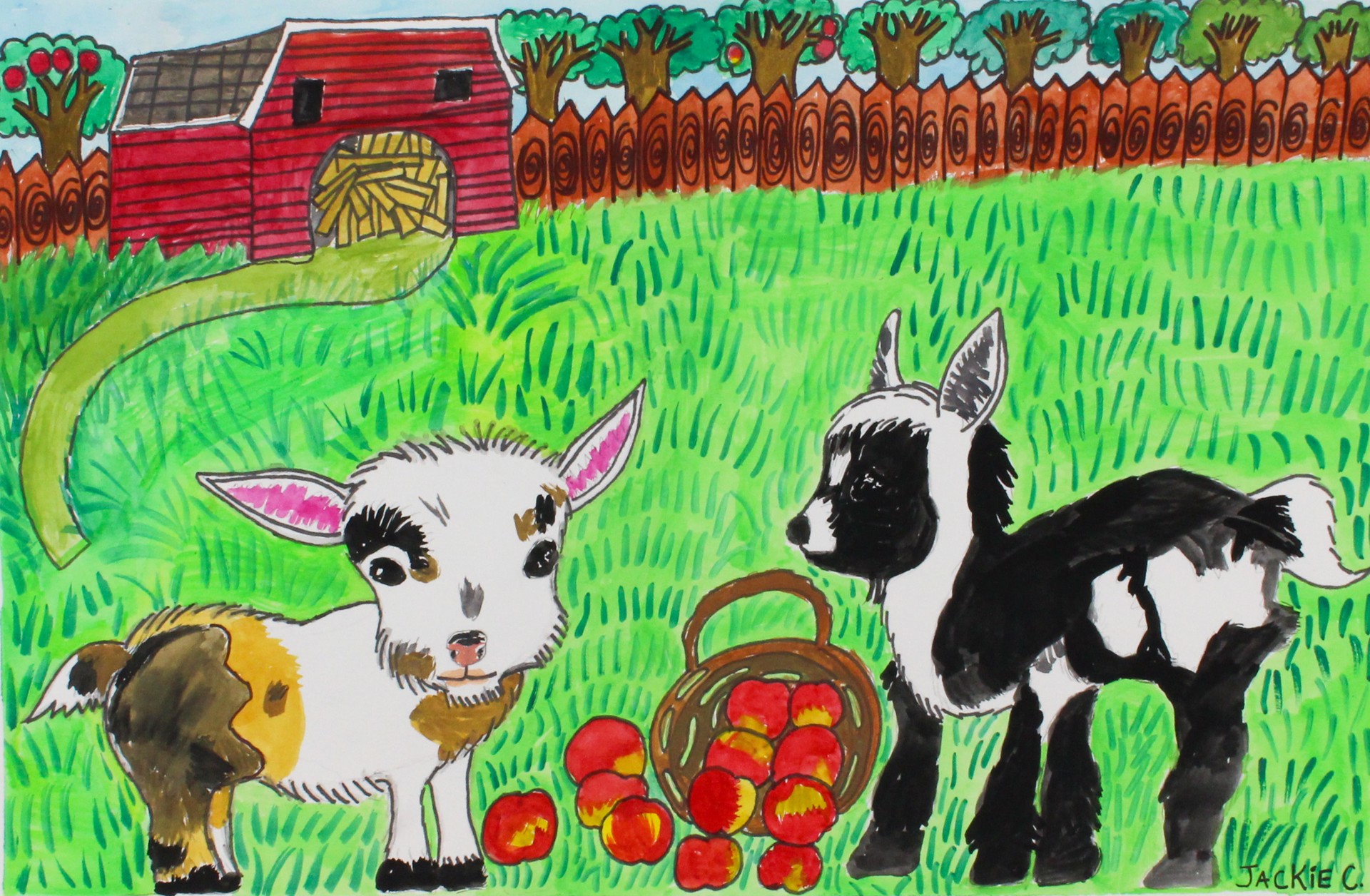 Baby Goats Eating Apples  by Jacqueline Coleman