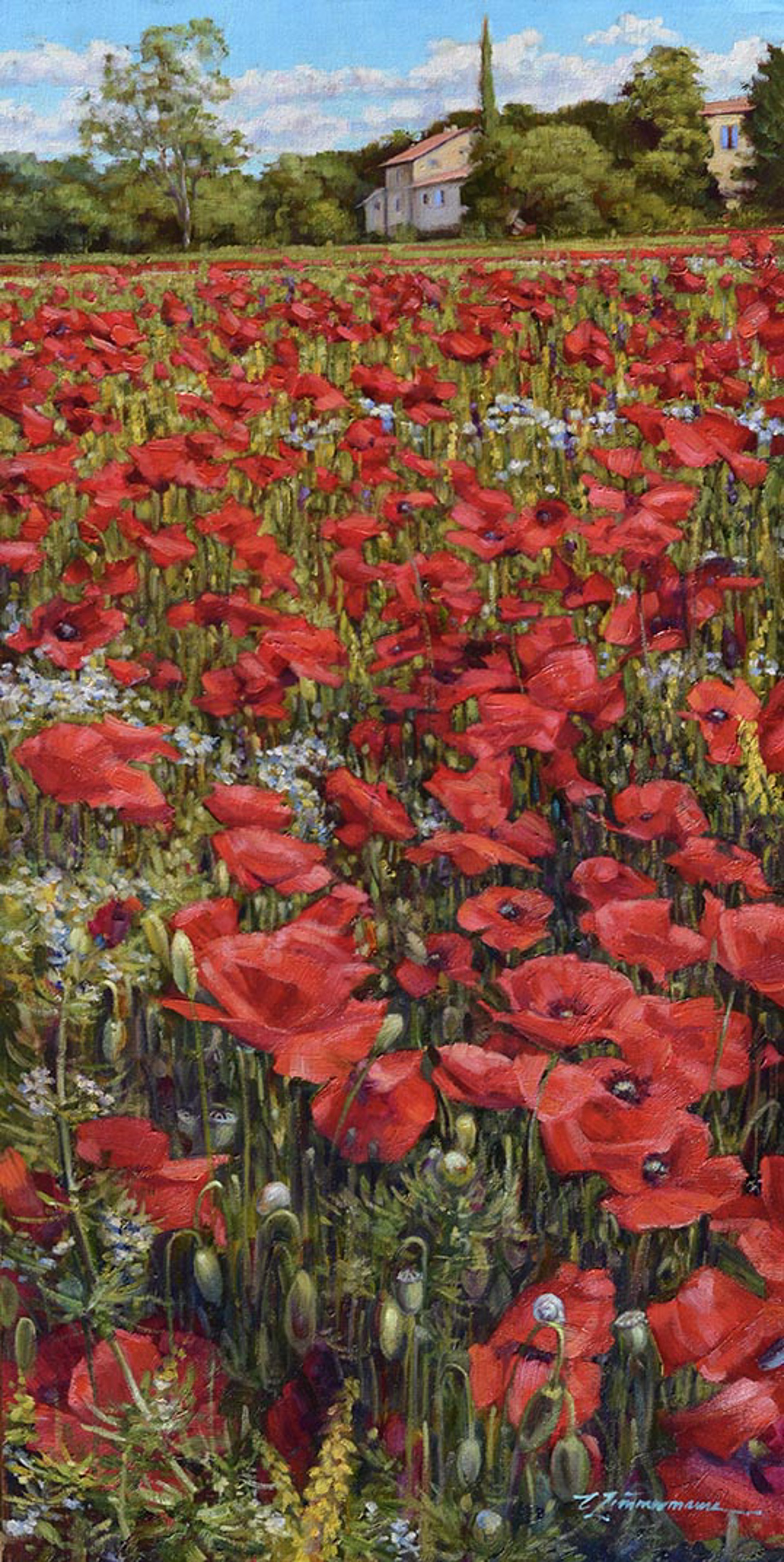 Sigonce Poppy Field - SOLD by Commission Possibilities / Previously Sold ZX