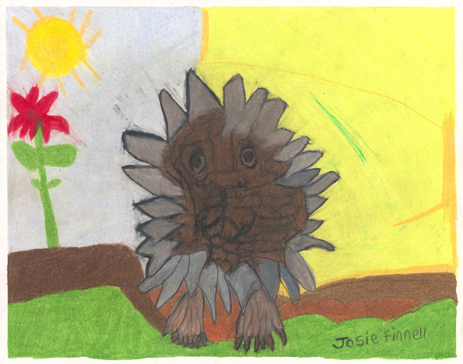 The Mysterious Hedgehog by Josephine Finnell