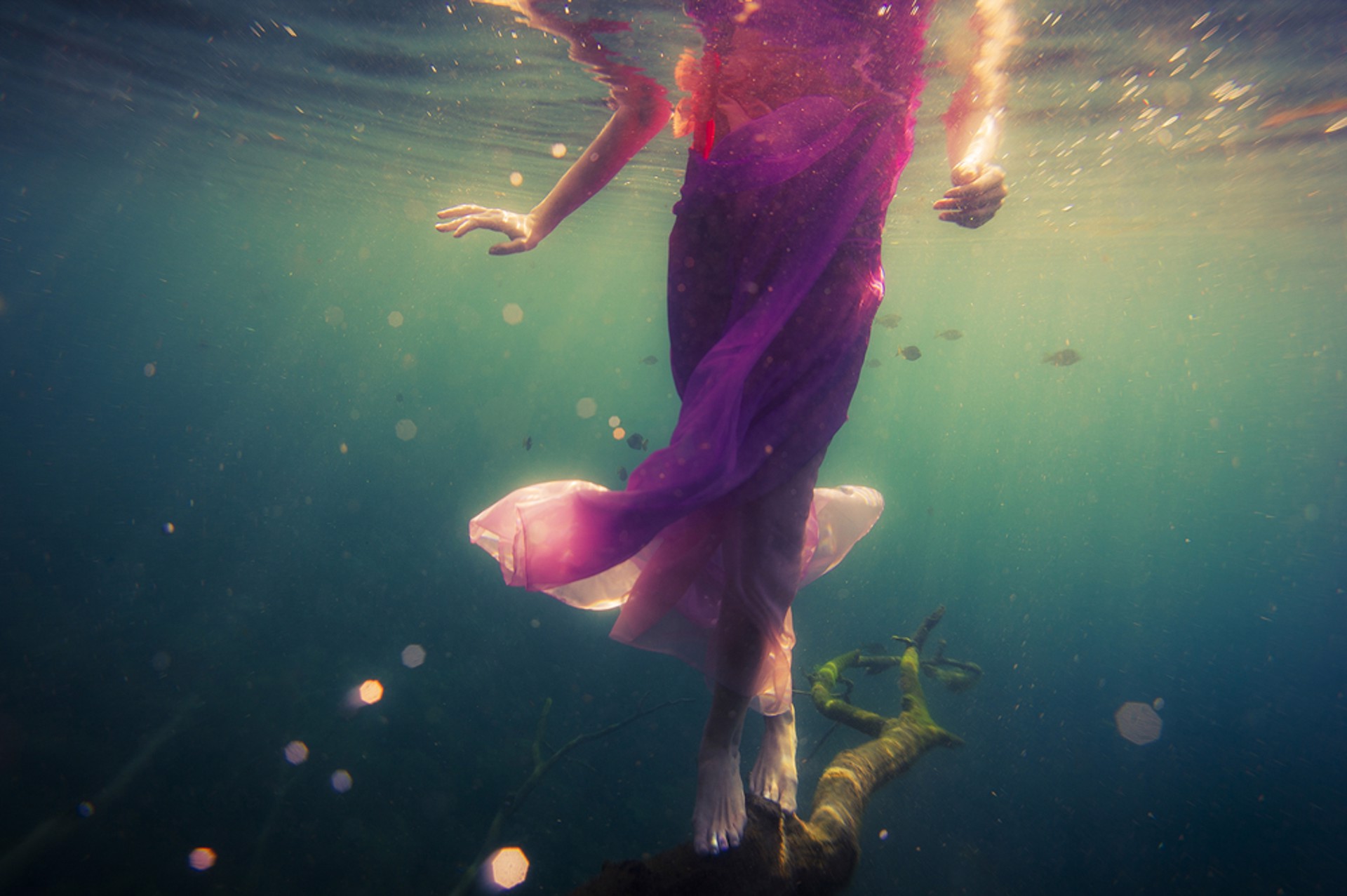 The Delicate Balance by James Biscardi