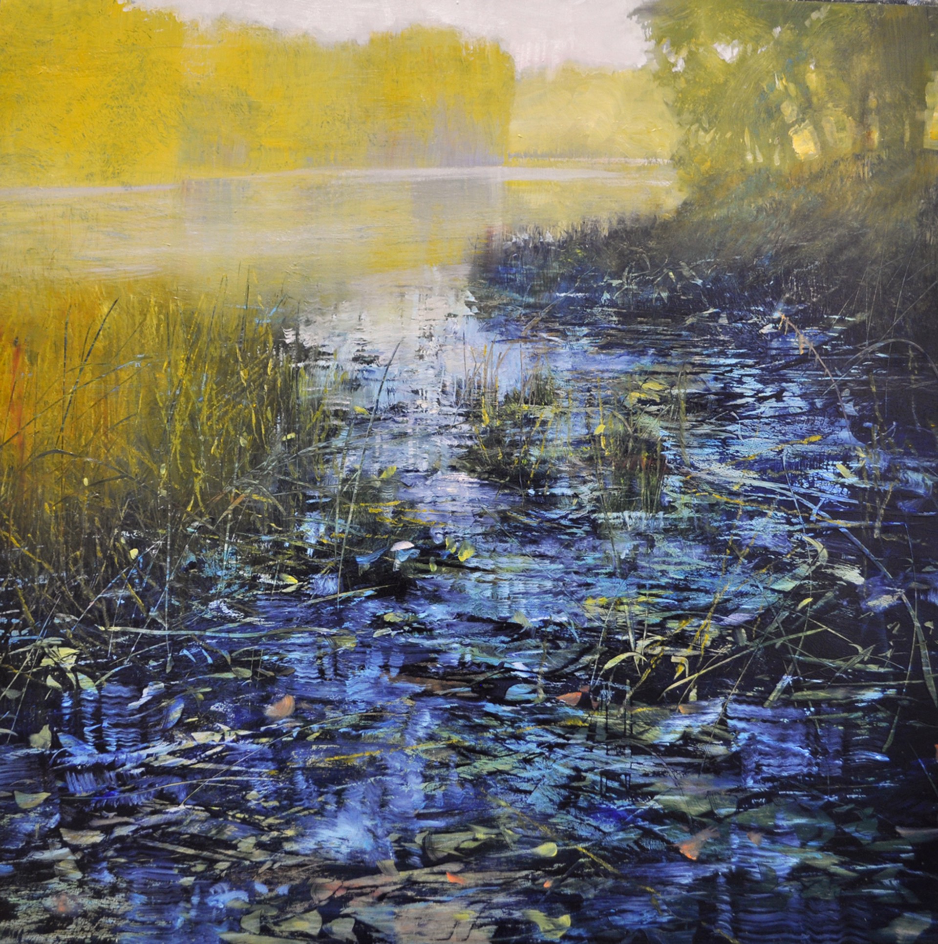 Blue River Shadows by David Dunlop