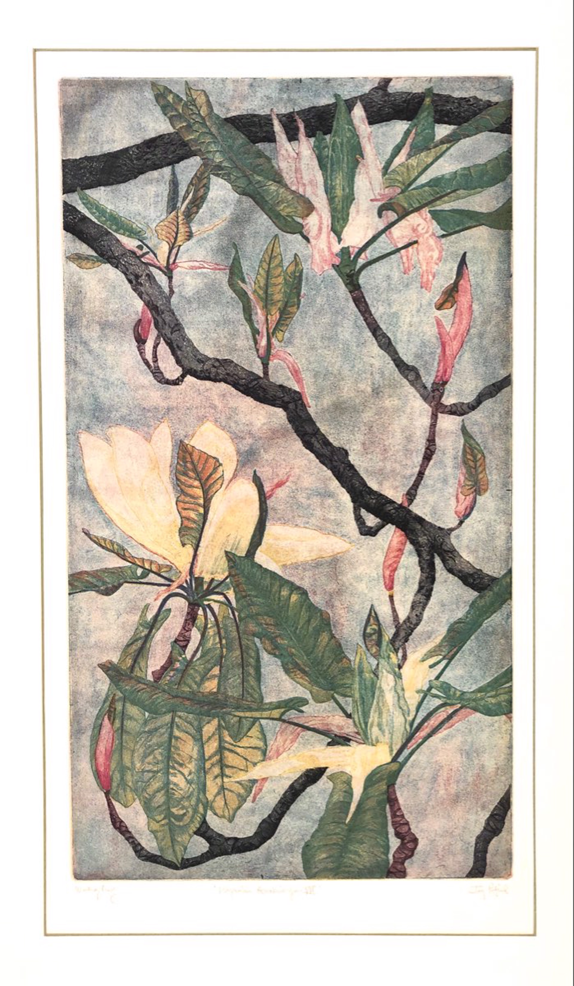 Magnolia Awakenings VII (Unframed) by Jay Pfeil