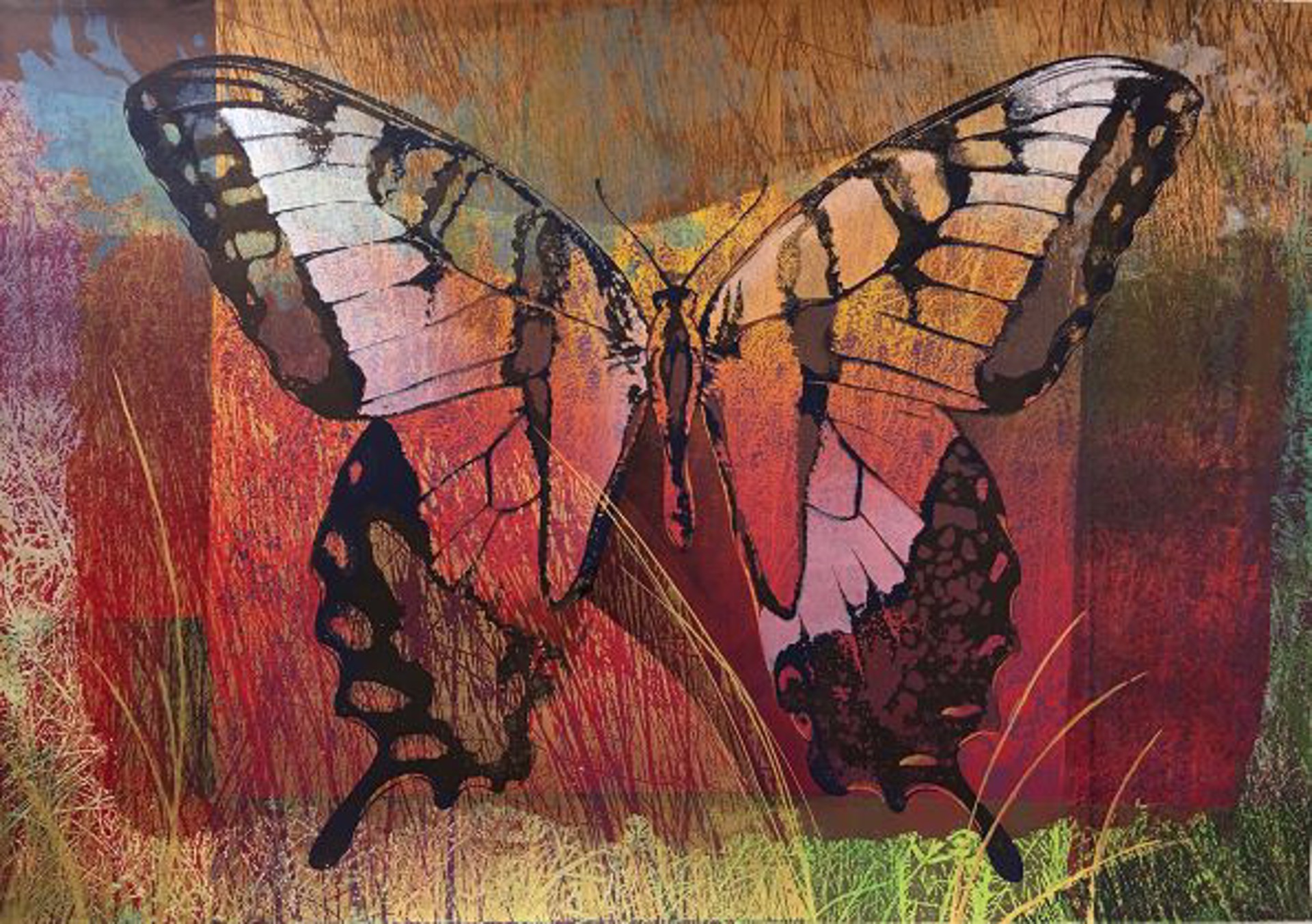 Tiger Swallowtail by Lynn Schoenecker