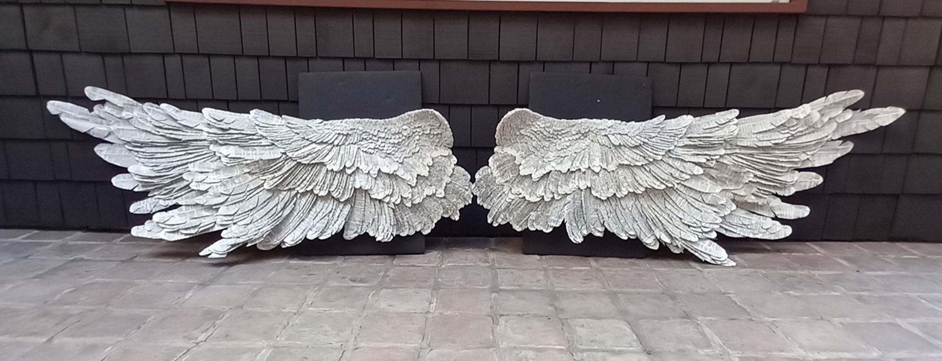 Wings by Susan Hannon