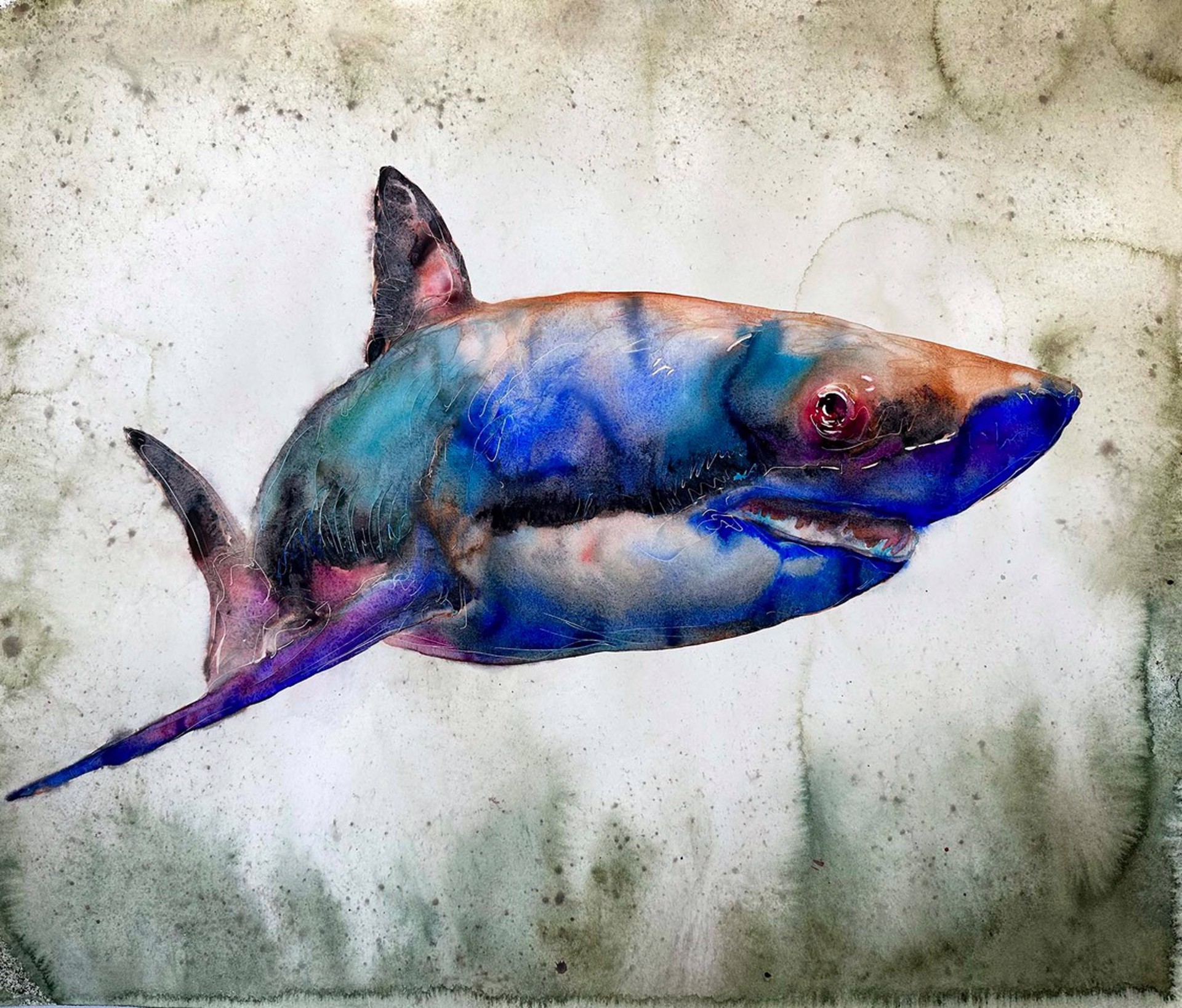 Blue Shark by Carol Carter
