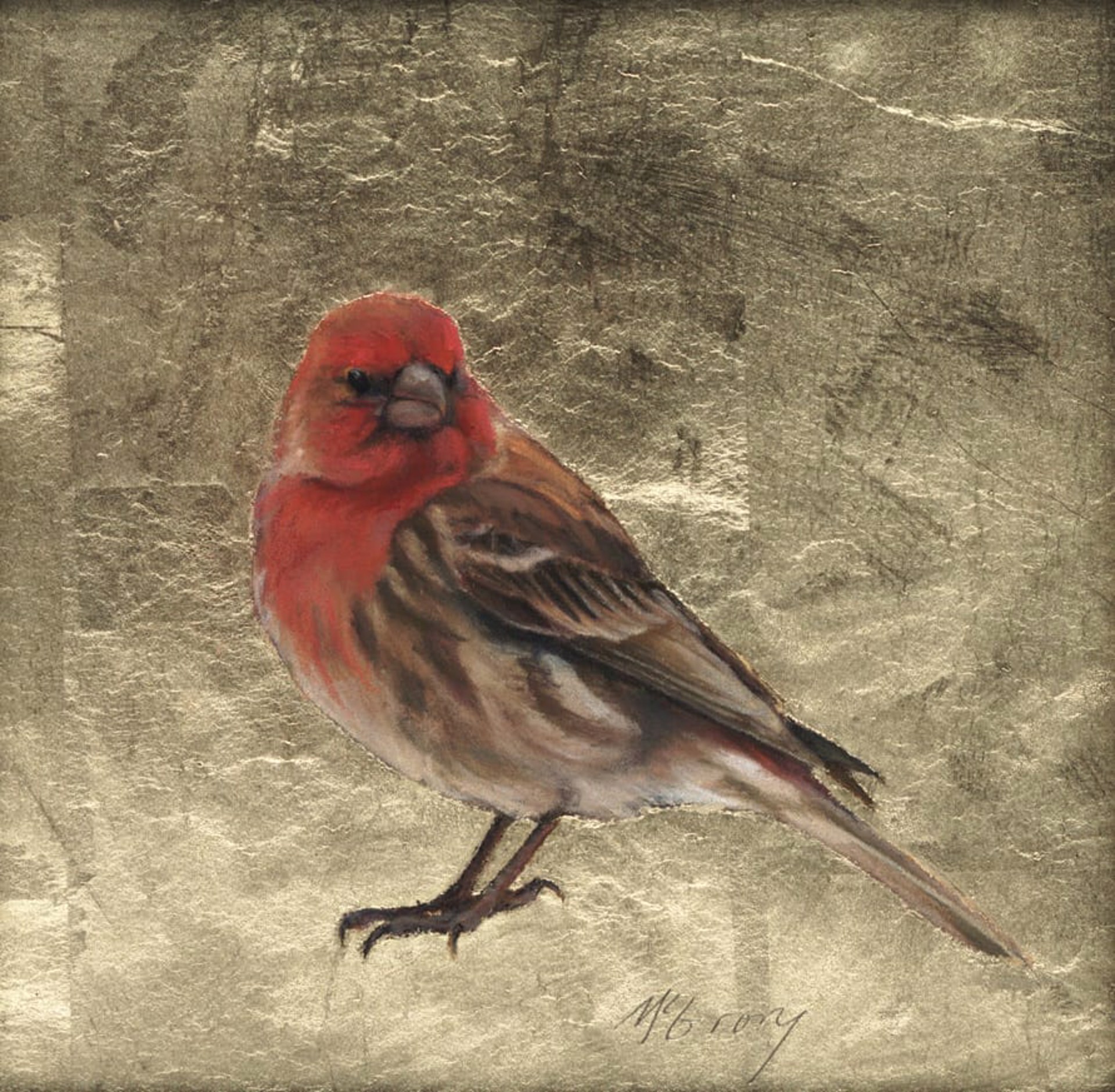 House Finch by Anne McGrory