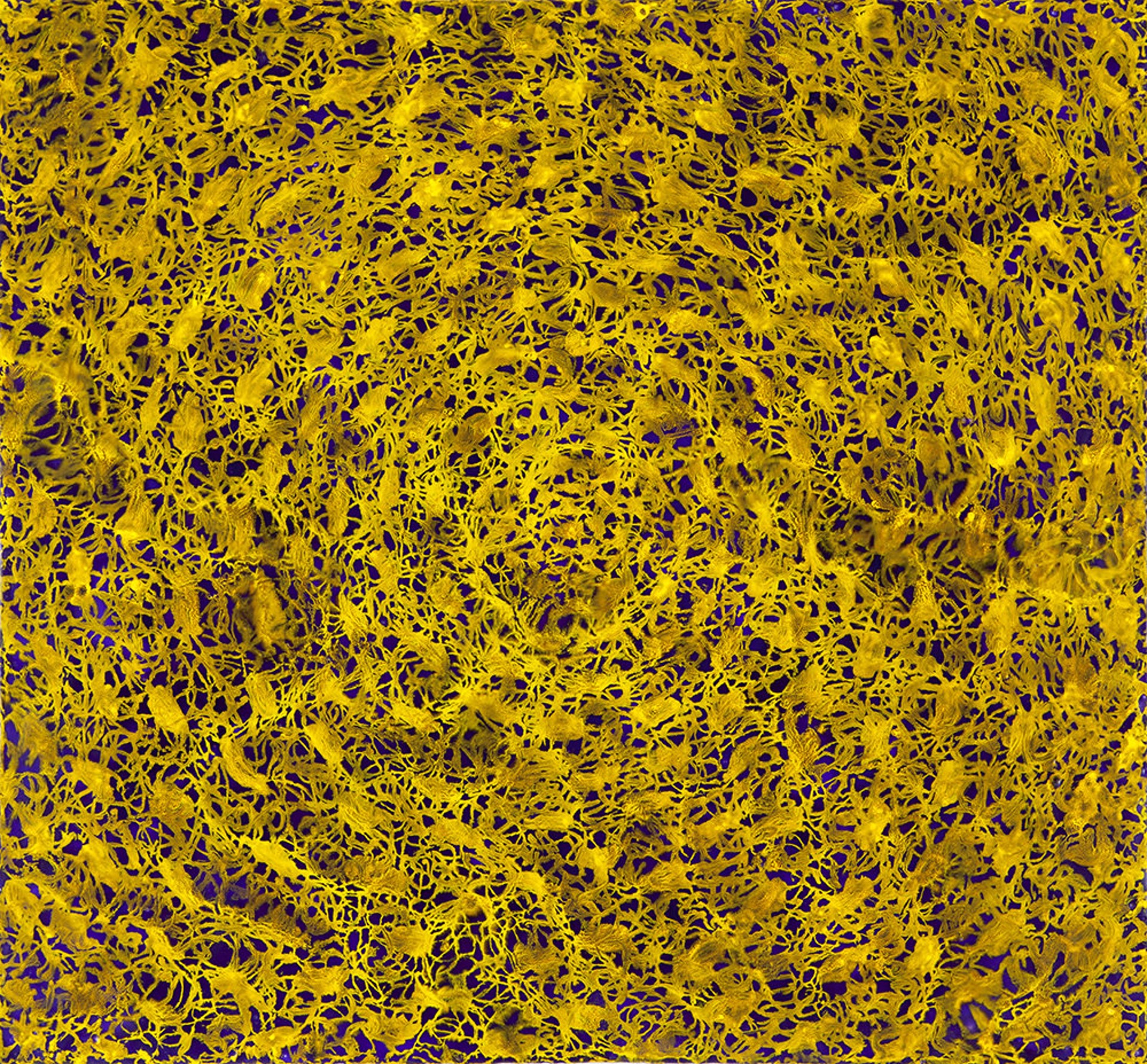 #10/13, Yellow Wafihe Series by Nicki Marx