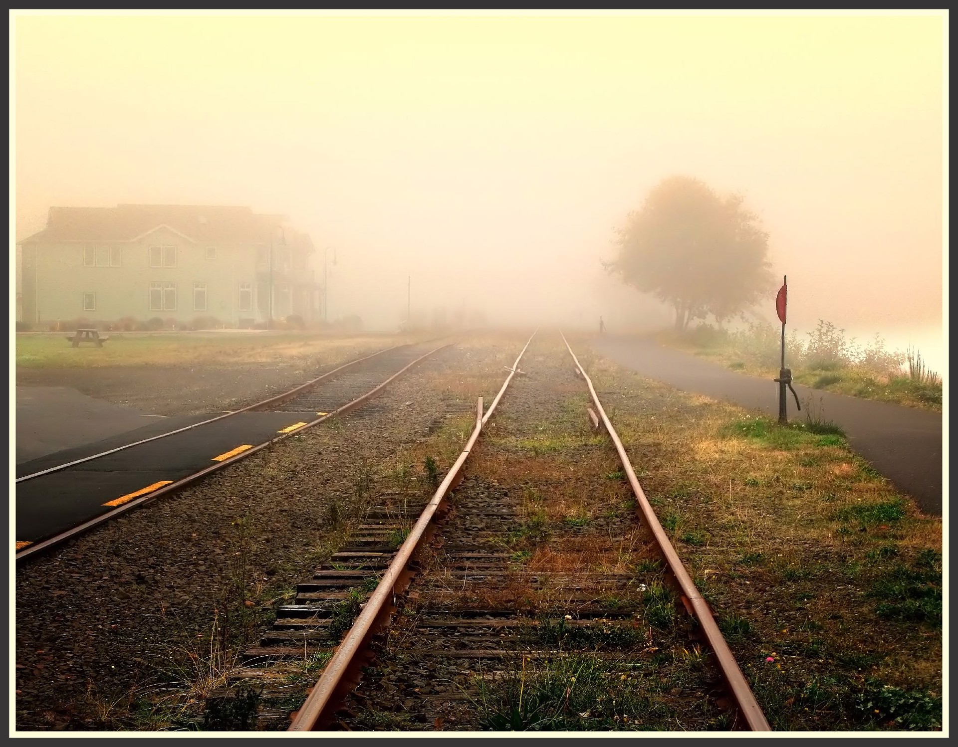 Foggy Morning, Astoria by Jody Miller