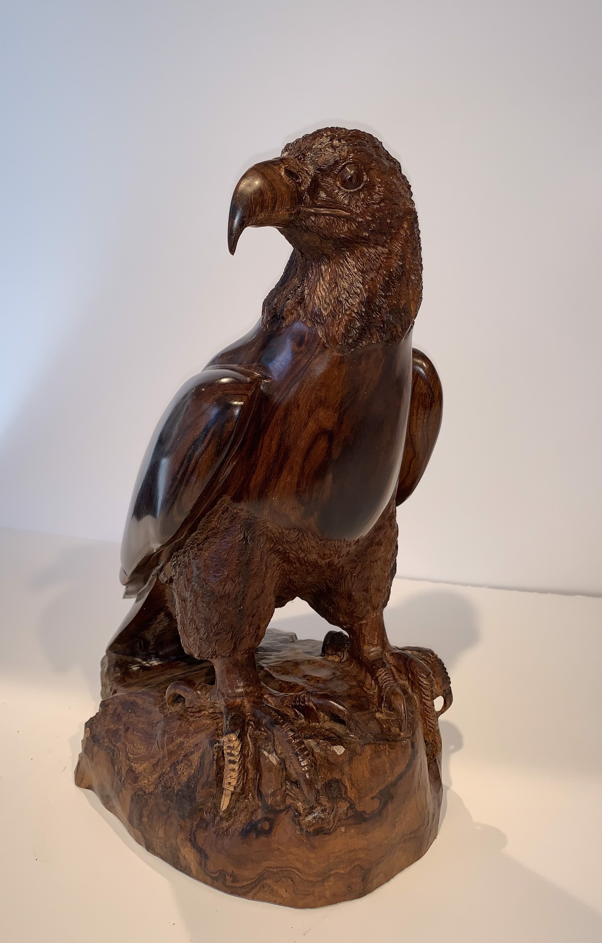 Large Eagle by Thomas Suby