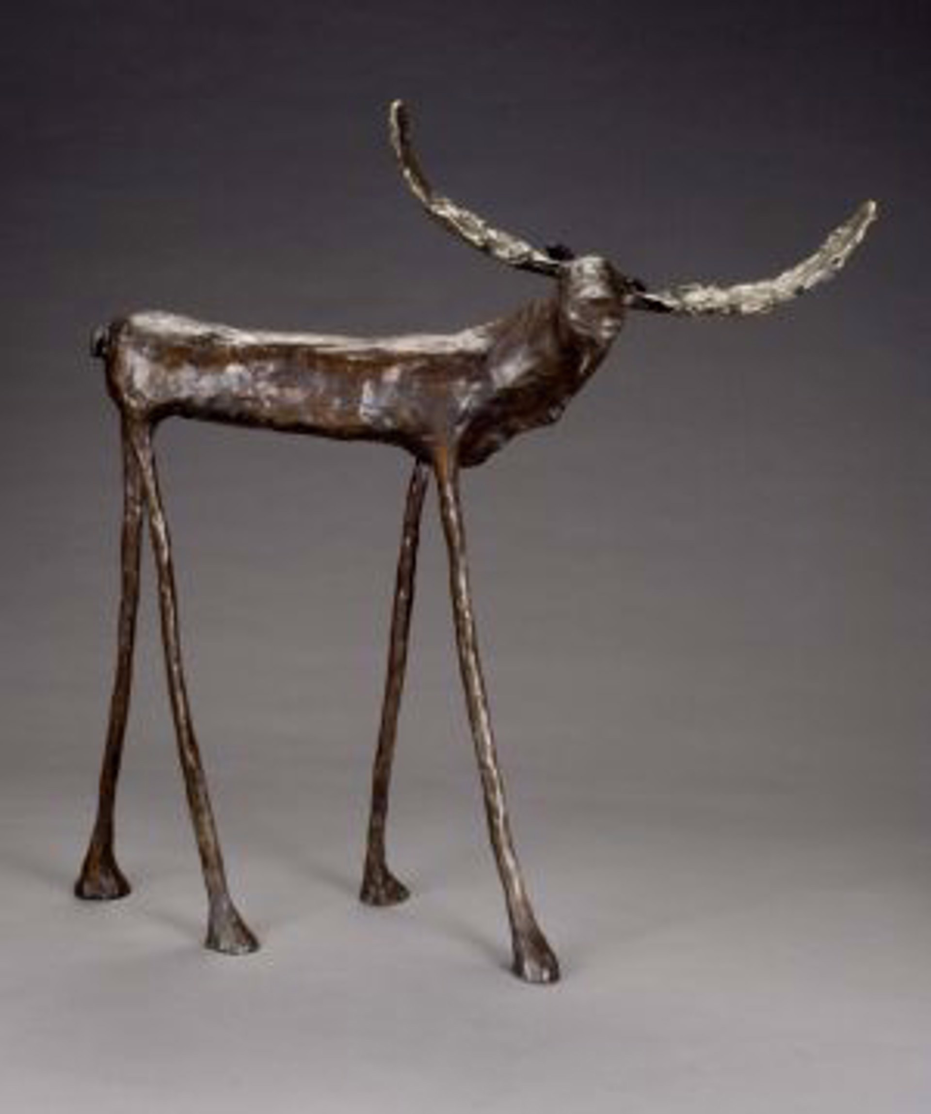 Moose by Jim Budish