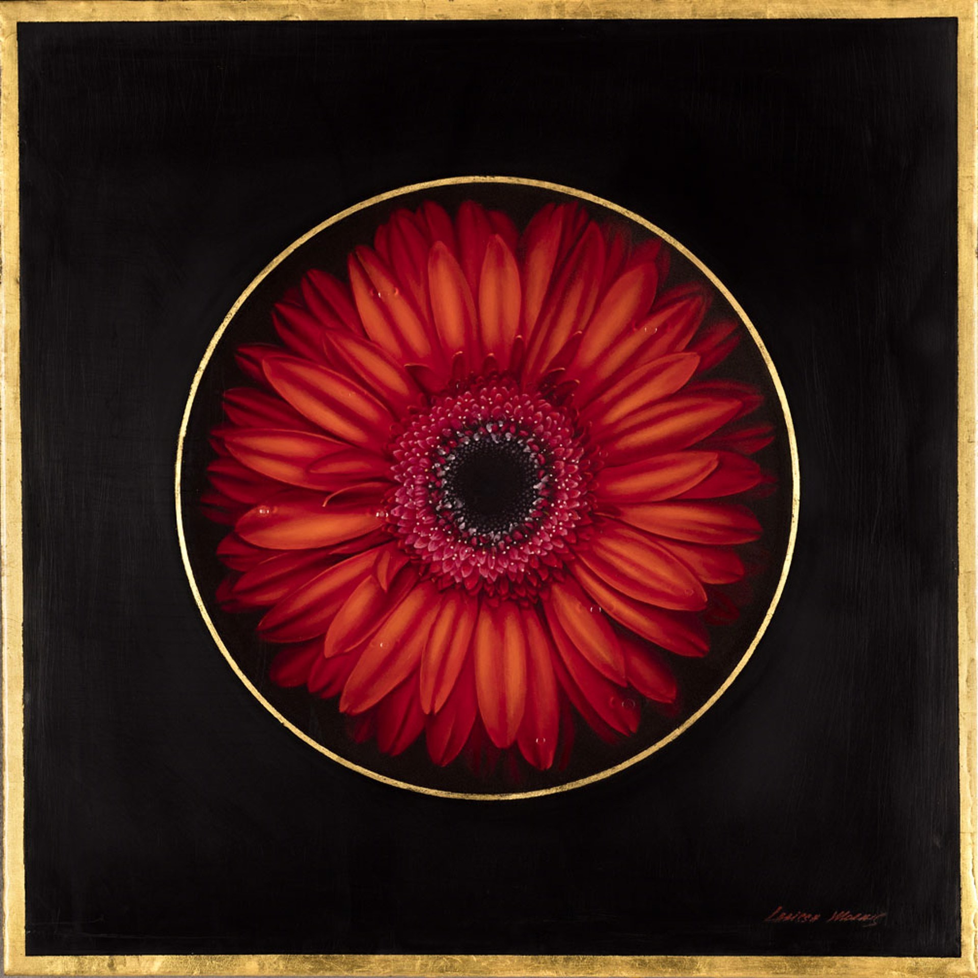 Lunar Eclipse  by Larissa Morais