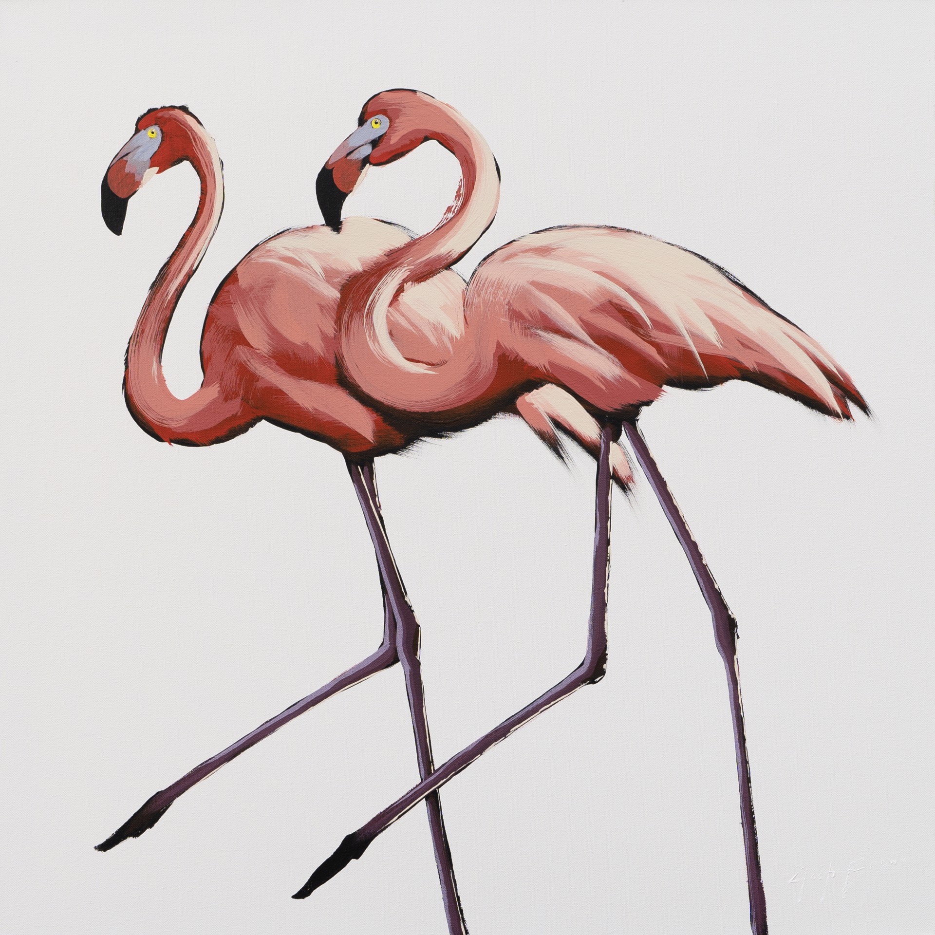 Two Flamingos on White by Josh Brown