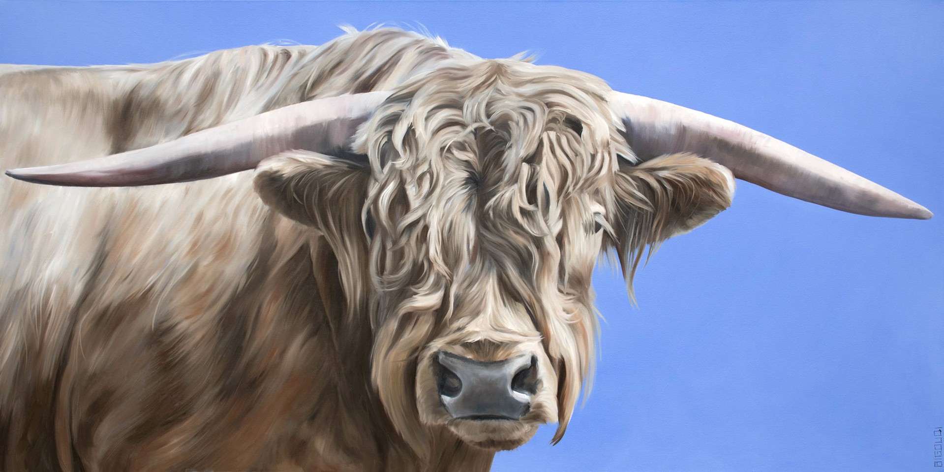 Highland Bull on Cornflower Blue by Bigoudi