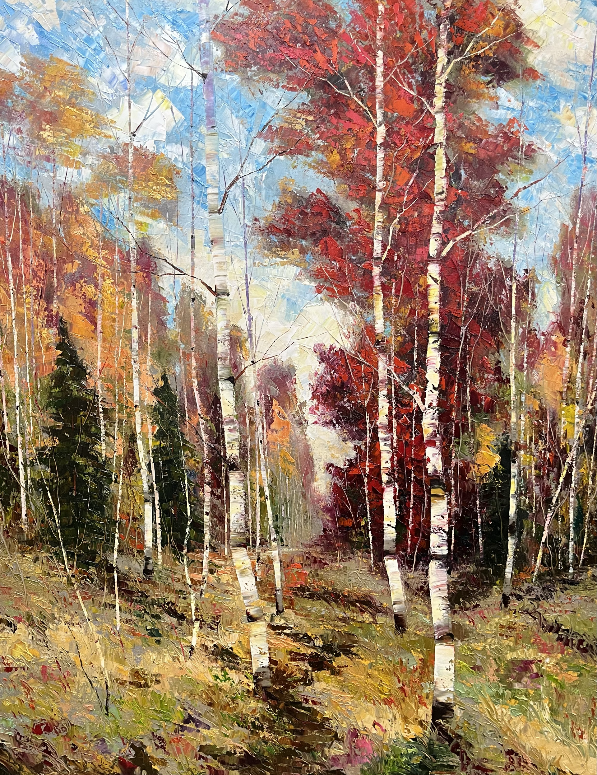 Forest Wonder by Dean Bradshaw