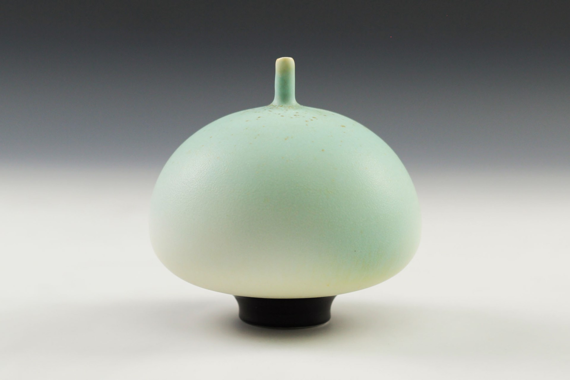 Aqua Bulb by Charlie Olson
