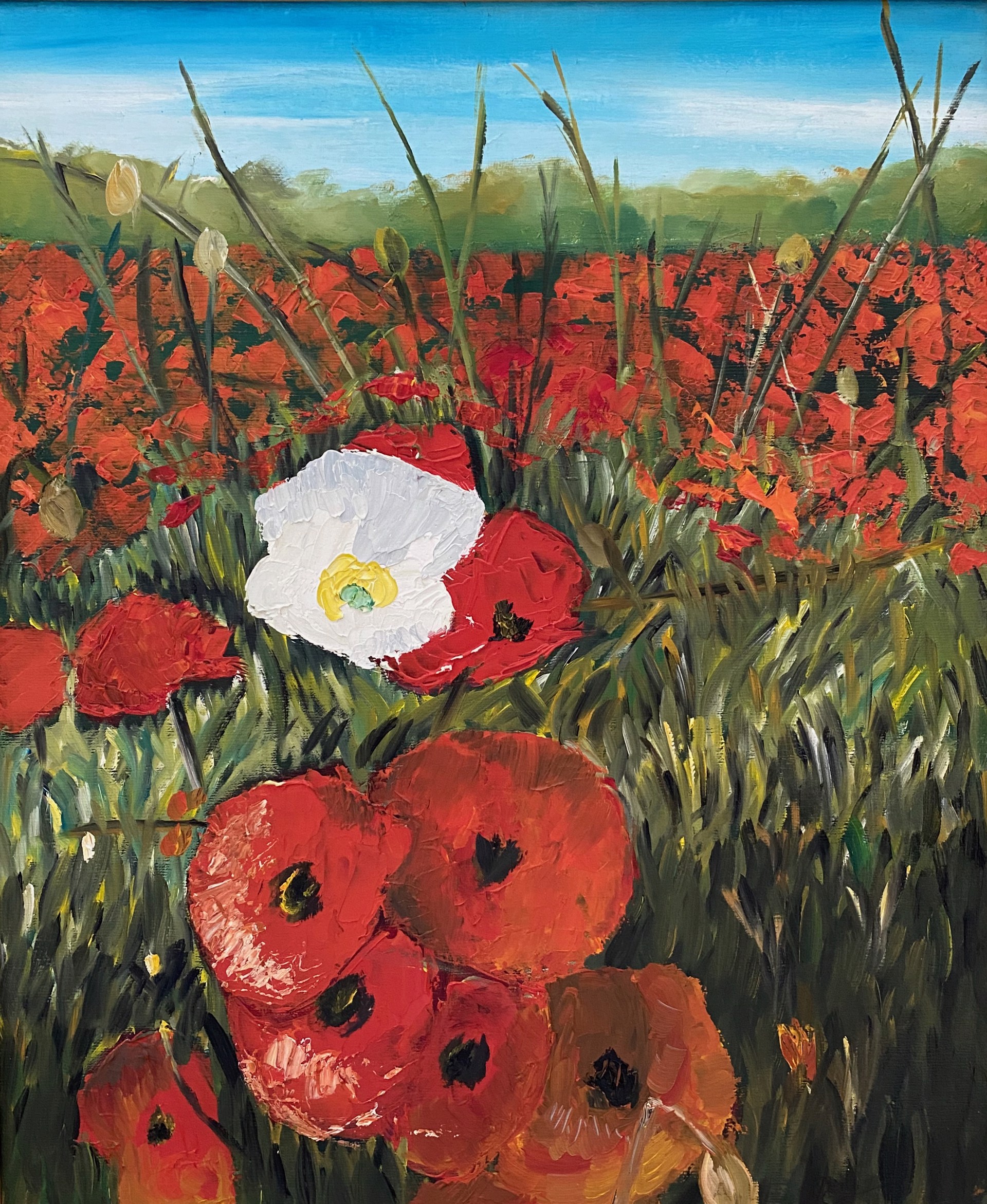 Poppy Flowers, Hauts-de-France by Anne-Lise Merchant