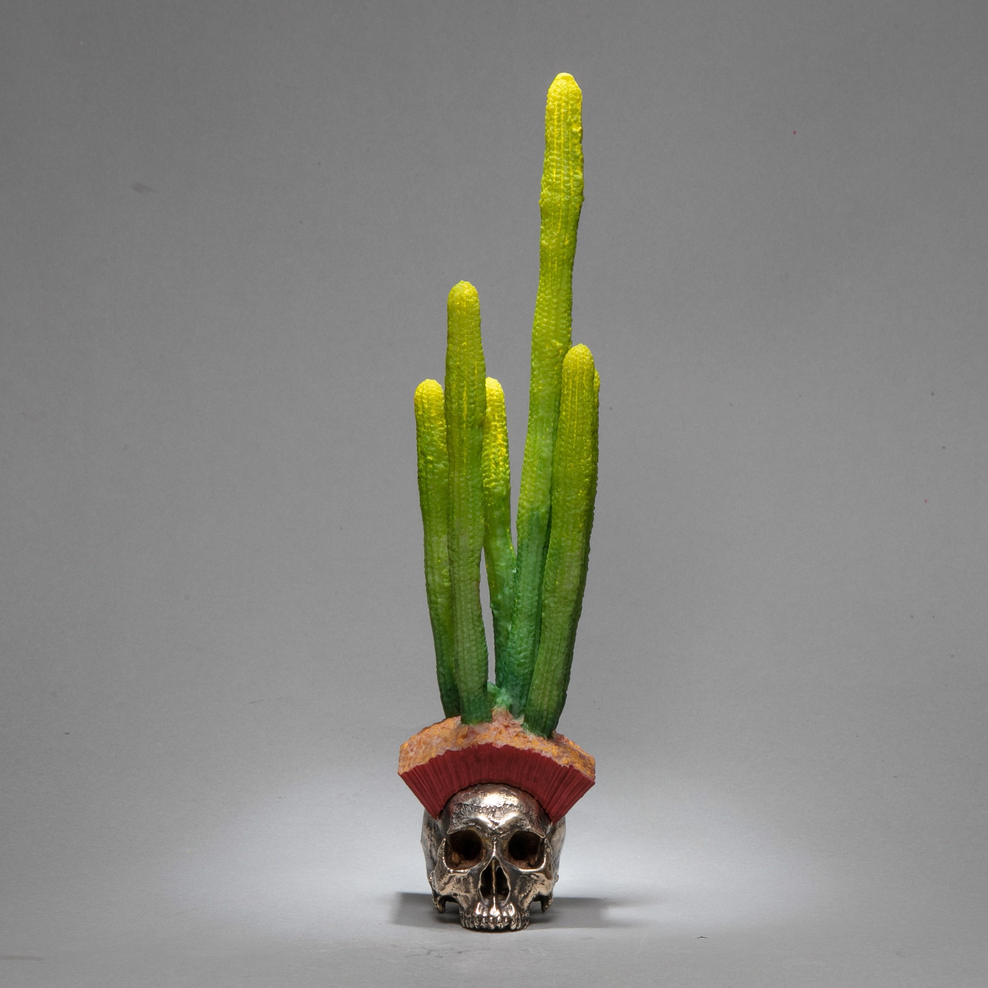 Cactus Skull by Dana Younger