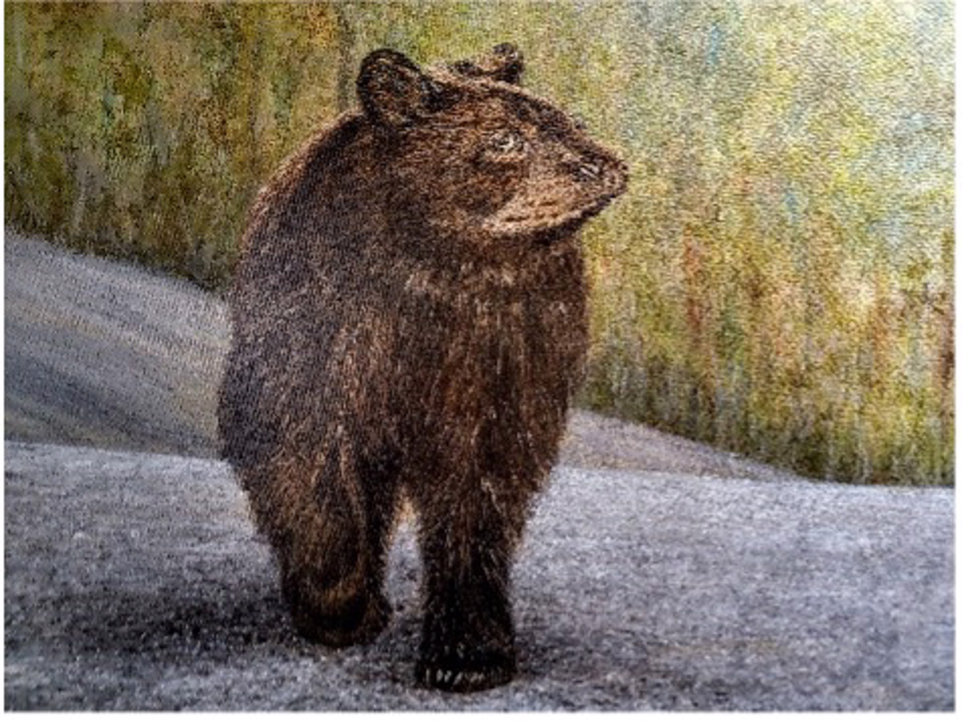 Bear With Me by Teresa Davies