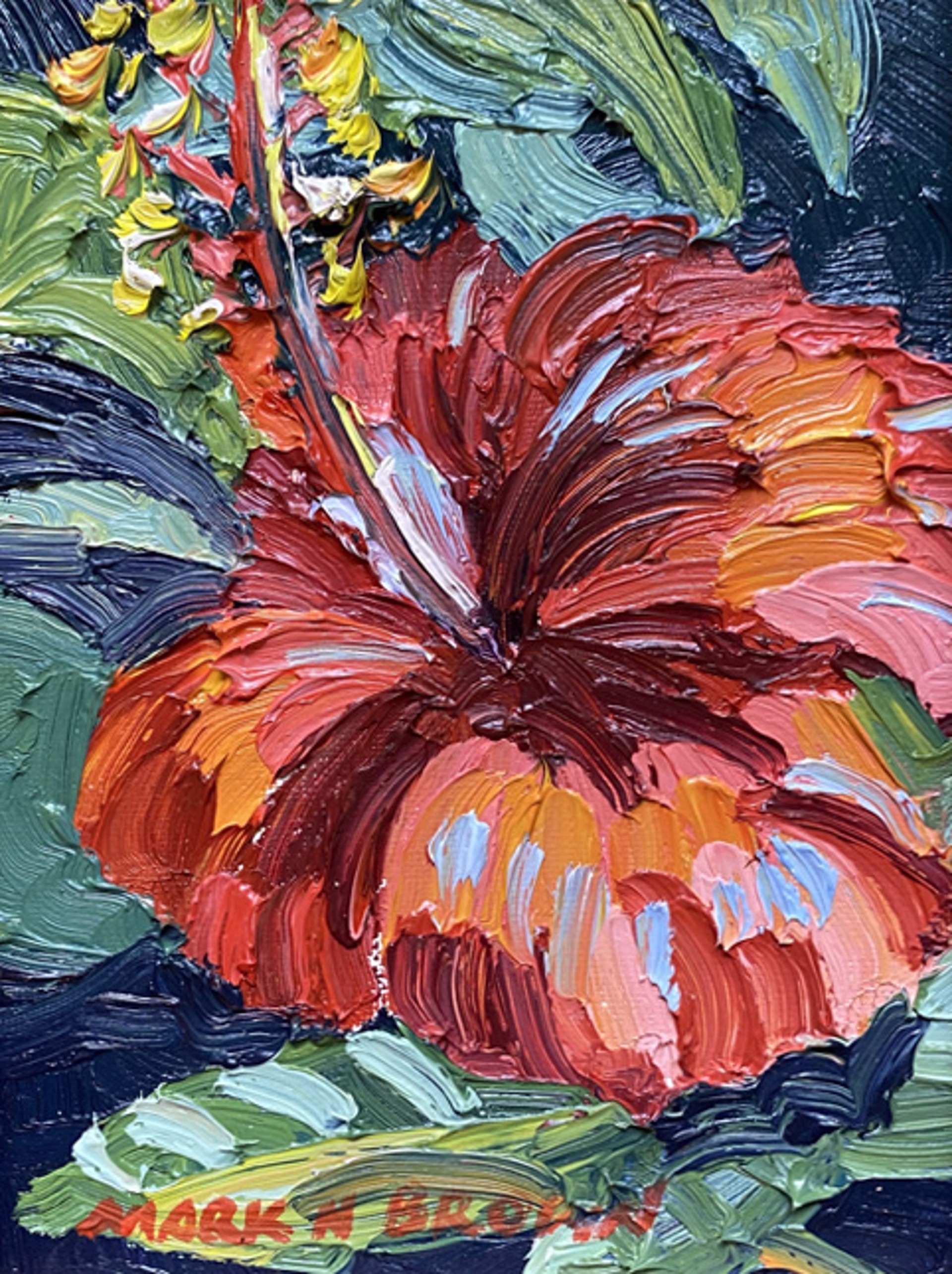 Hibiscus by Mark Brown
