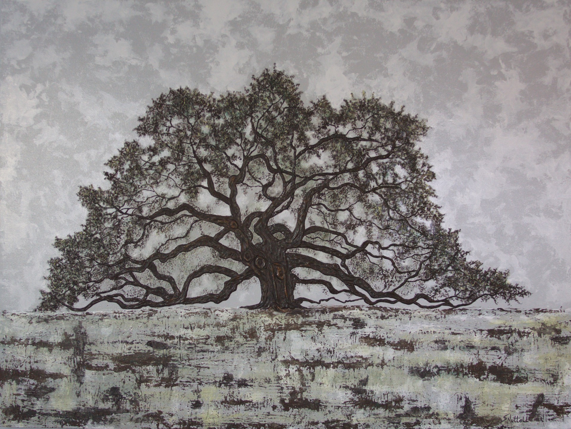 Angel Oak by Susan Nuttall