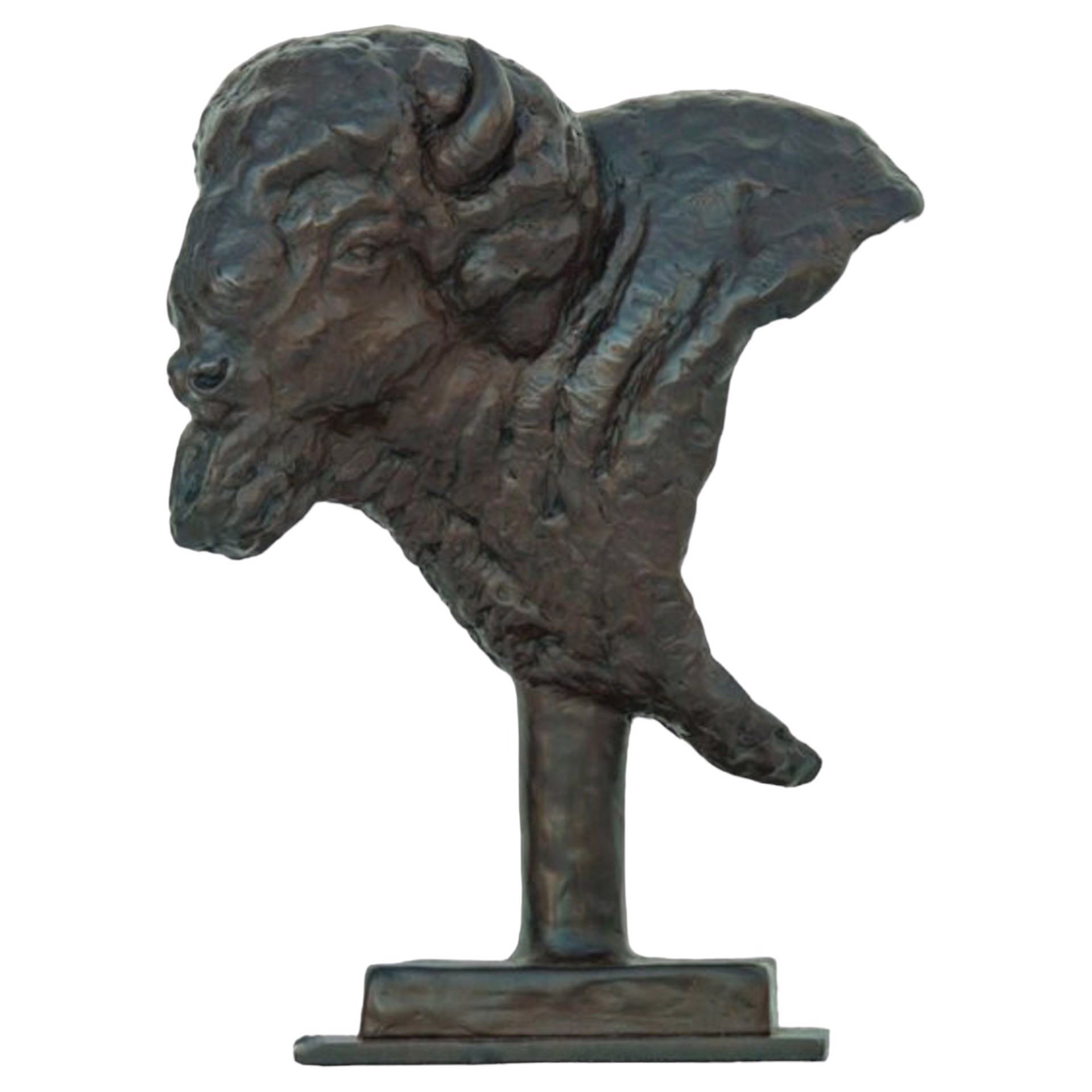 Bison Bust by Mike Barlow