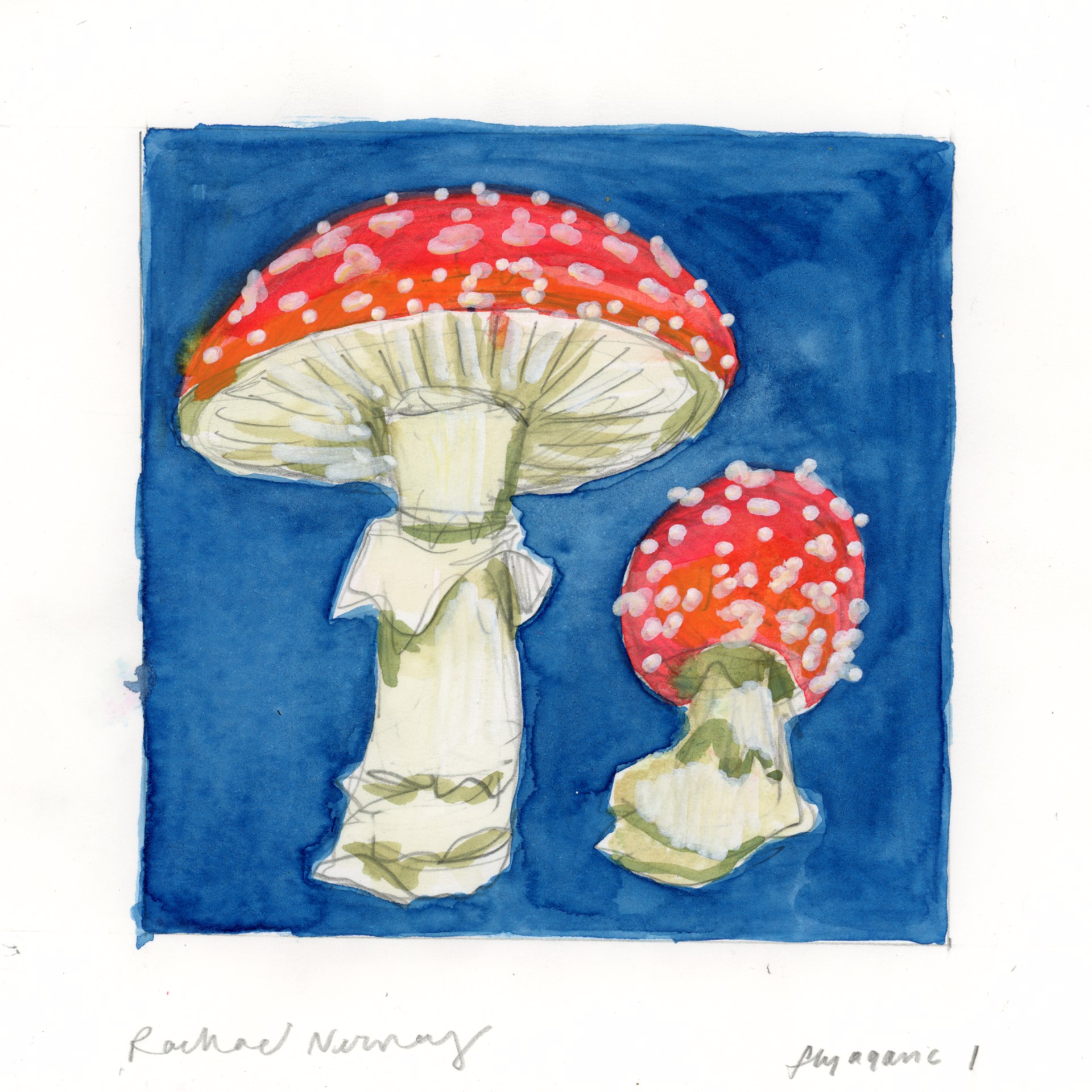 Fly Agaric I by Rachael Nerney