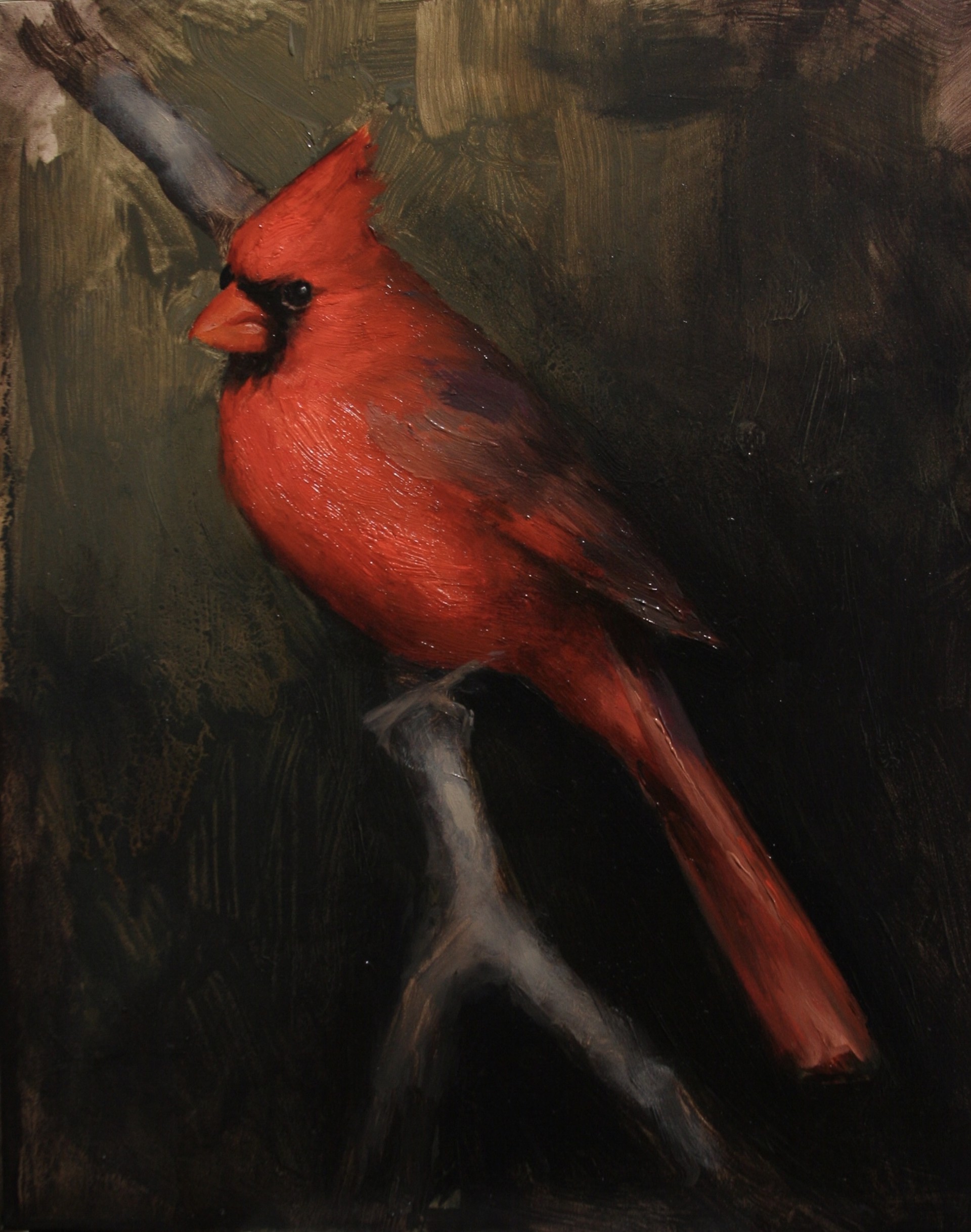 Texas Cardinal by Larisa Brechun