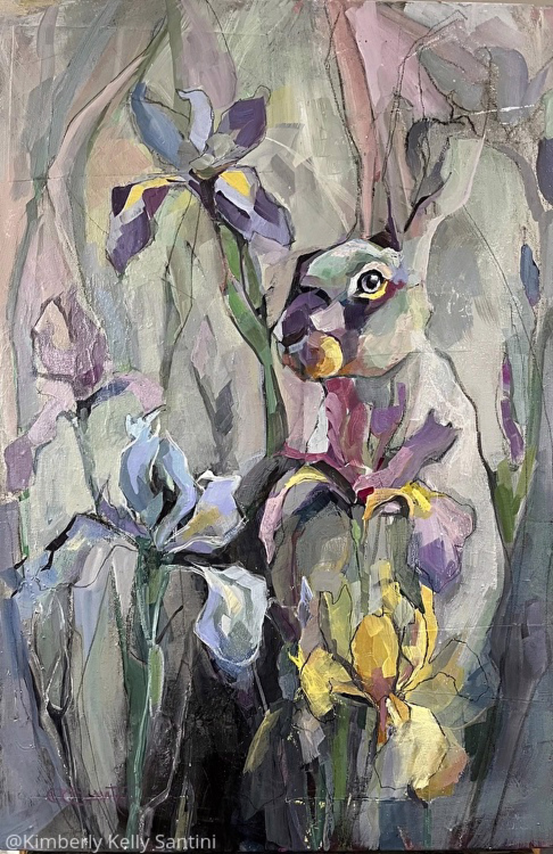 Wild Iris by Kimberly Santini
