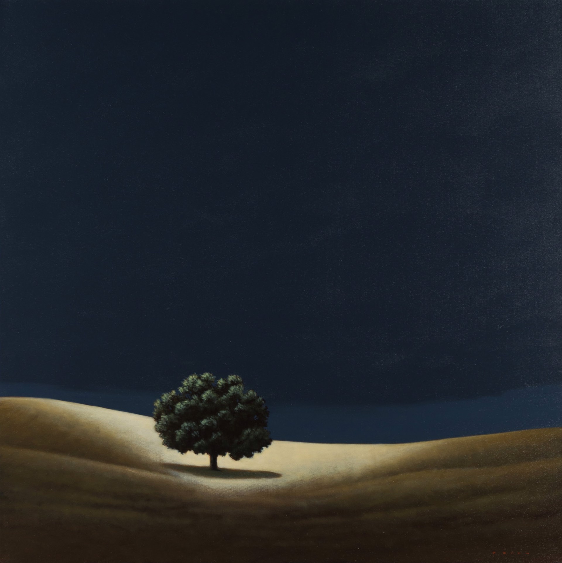 The Last Oak by Jamie Perry