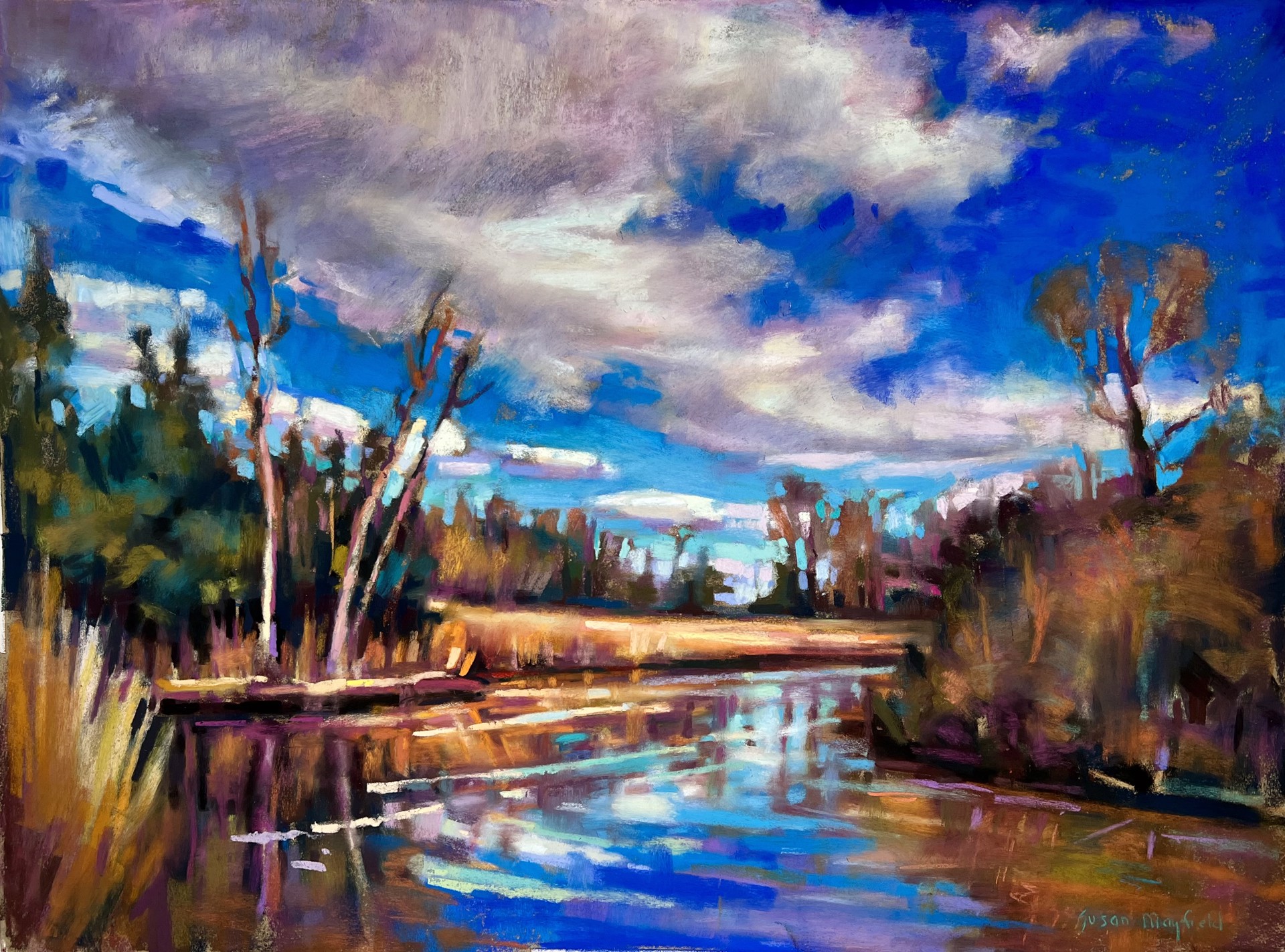 Creek Off The Combahee by Susan Mayfield