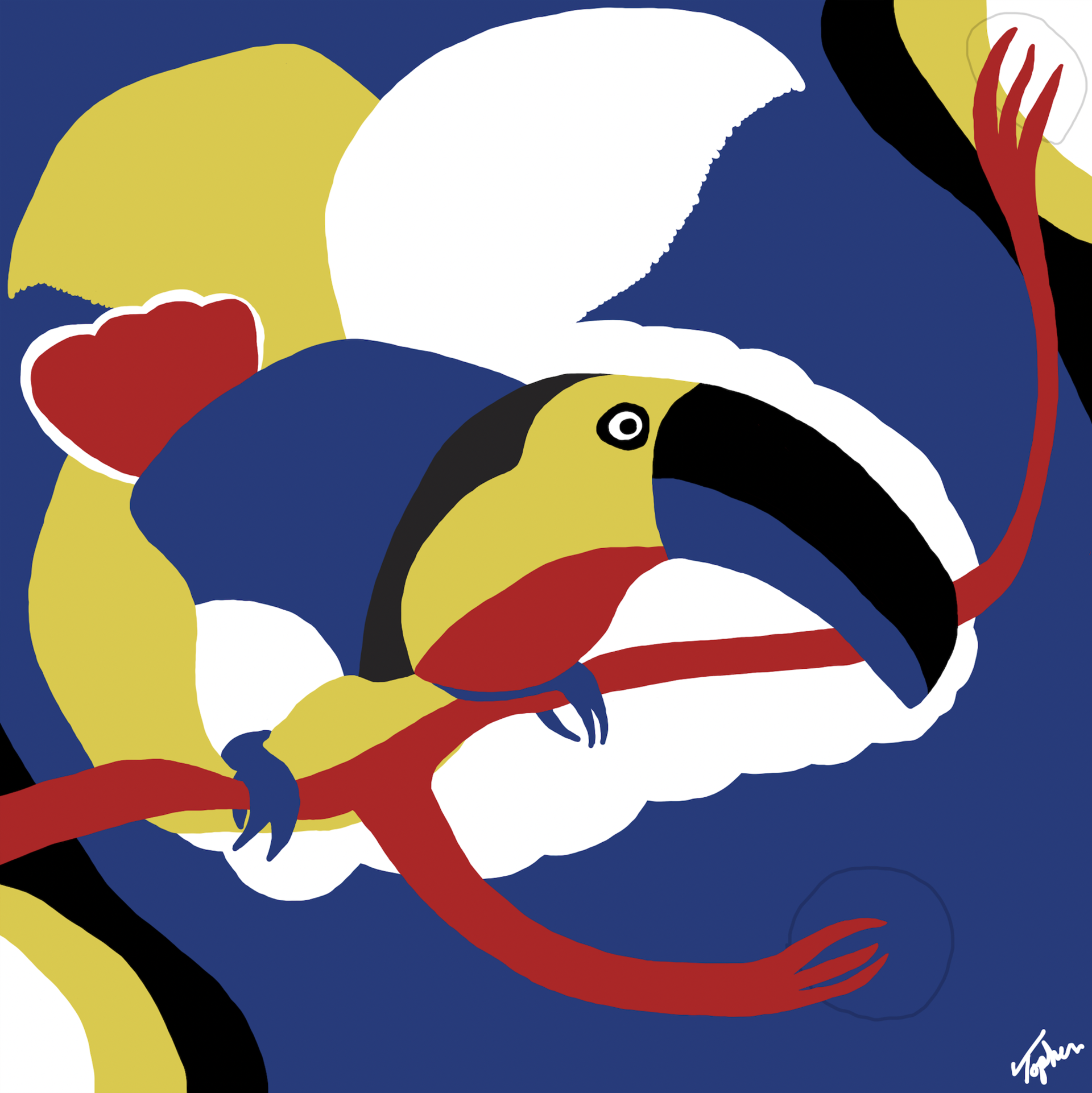 Toucan by Topher Straus