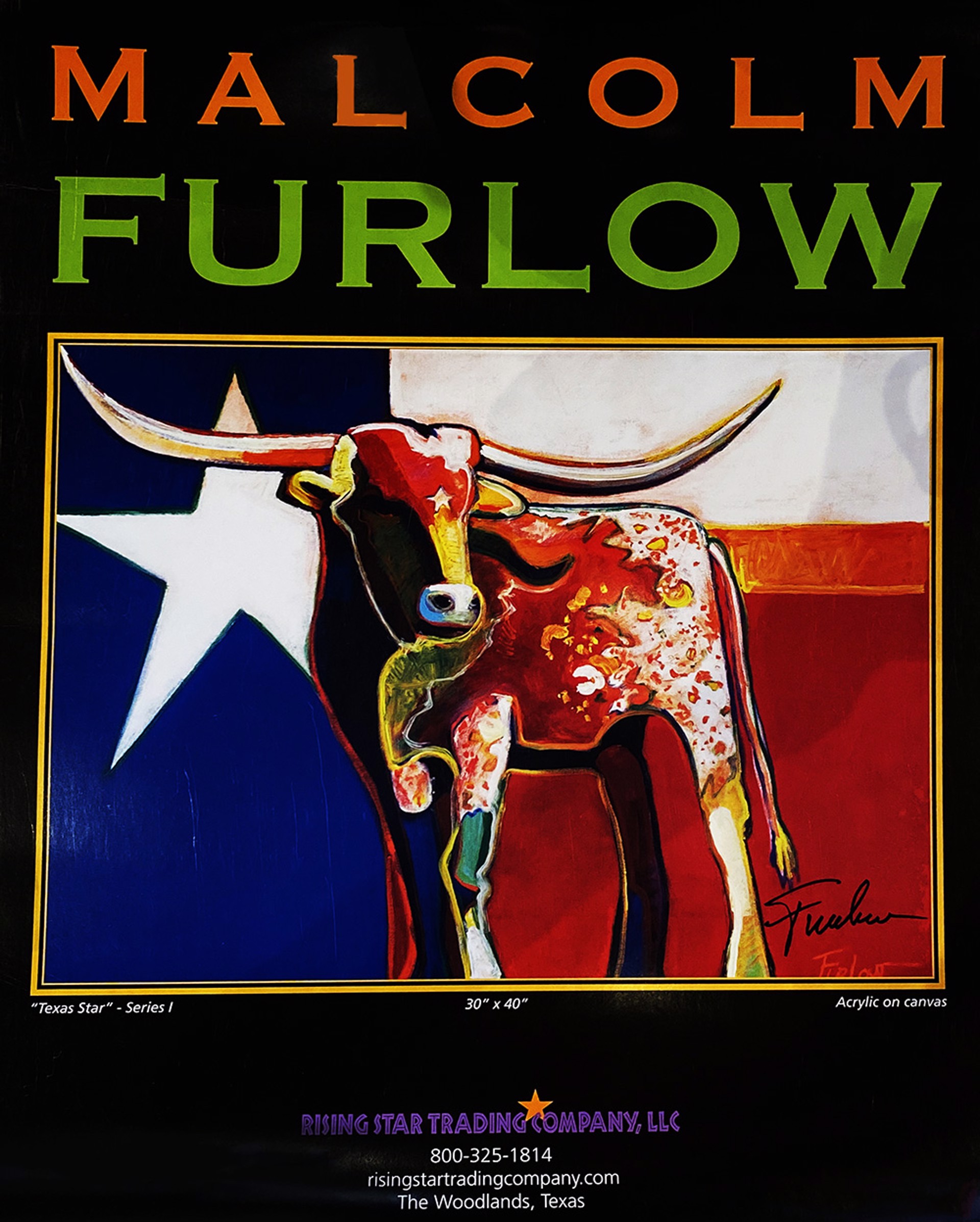 Texas Star Poster by Malcolm Furlow