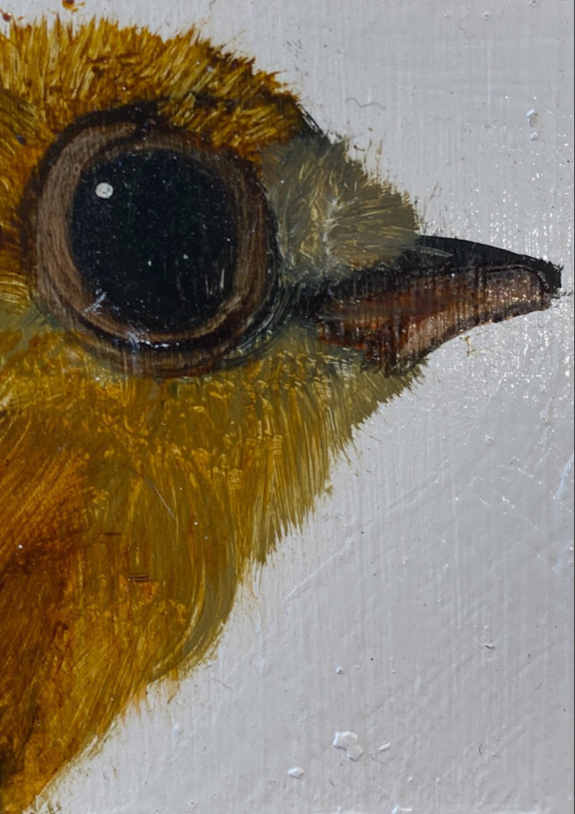 Tiny Bird Block by Diane Kilgore Condon
