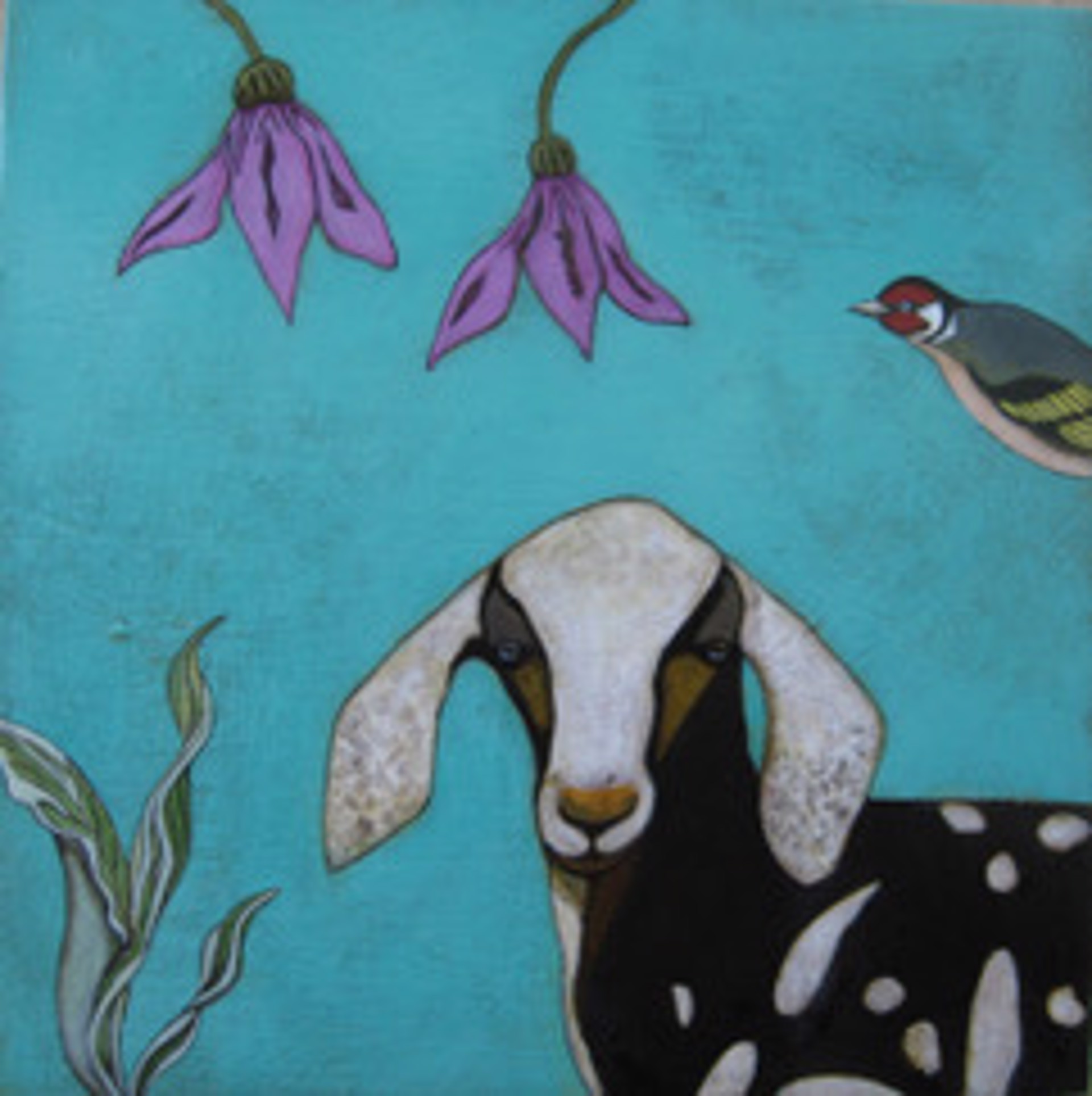 Nubian Goat by Phyllis Stapler