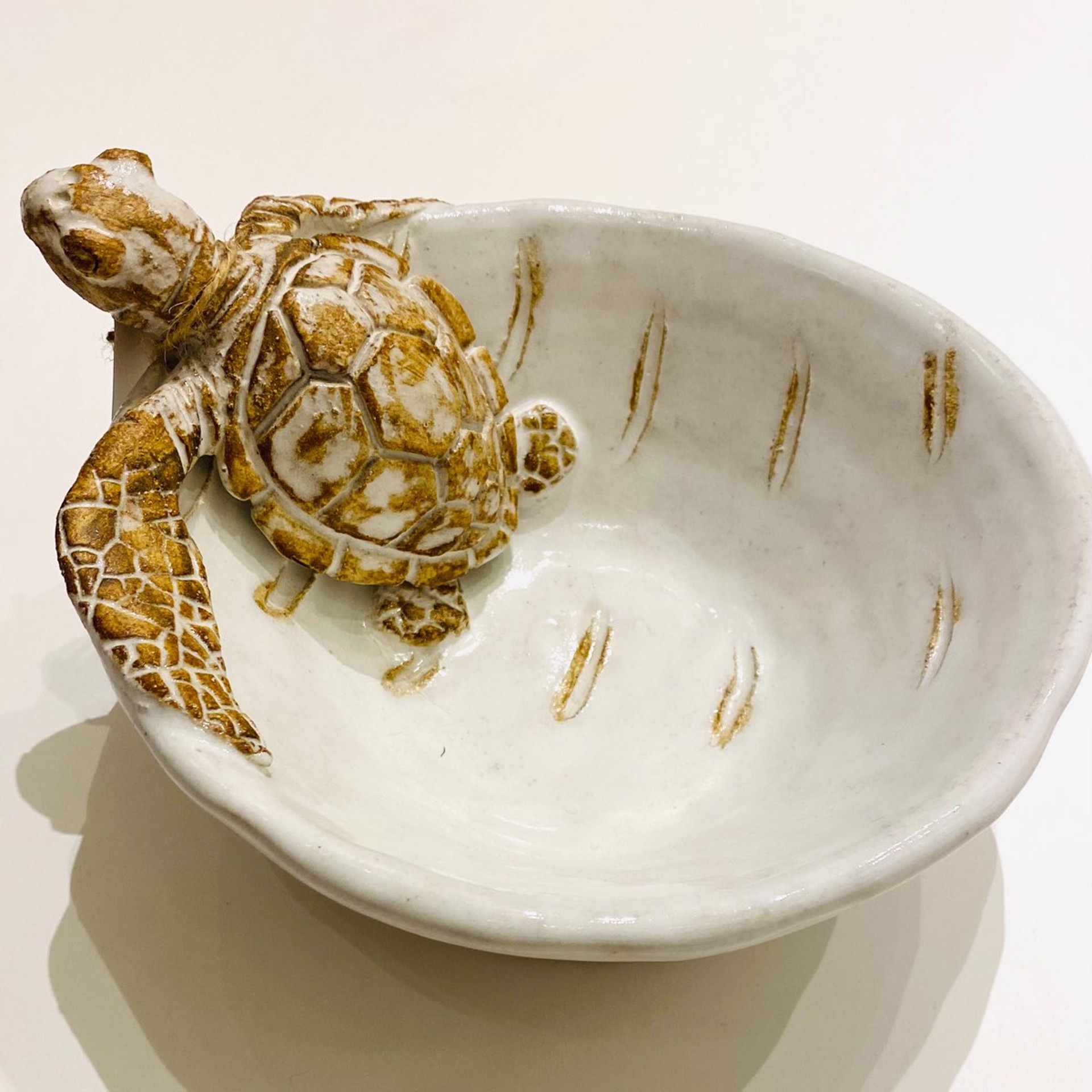 Turtle Bowl SG22-101 by Shayne Greco