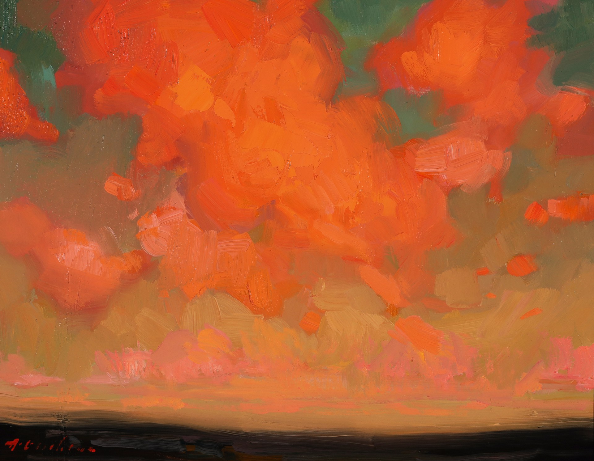 Pink Clouds Arizona by Aimee Erickson, PAPA & OPA
