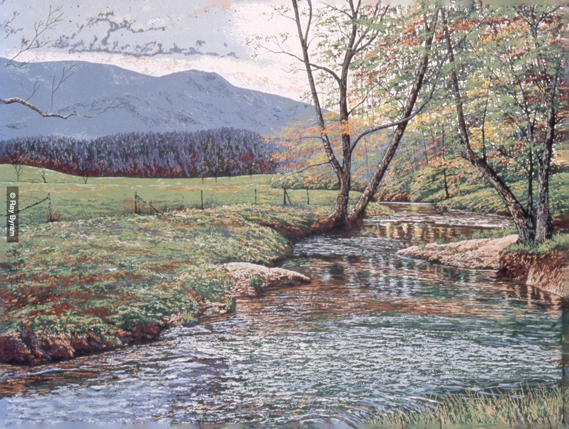 The Valley in Spring by Ray Byram
