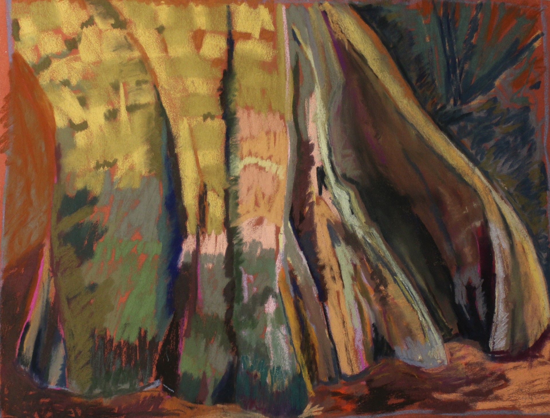 Cypress West by Kate Trepagnier