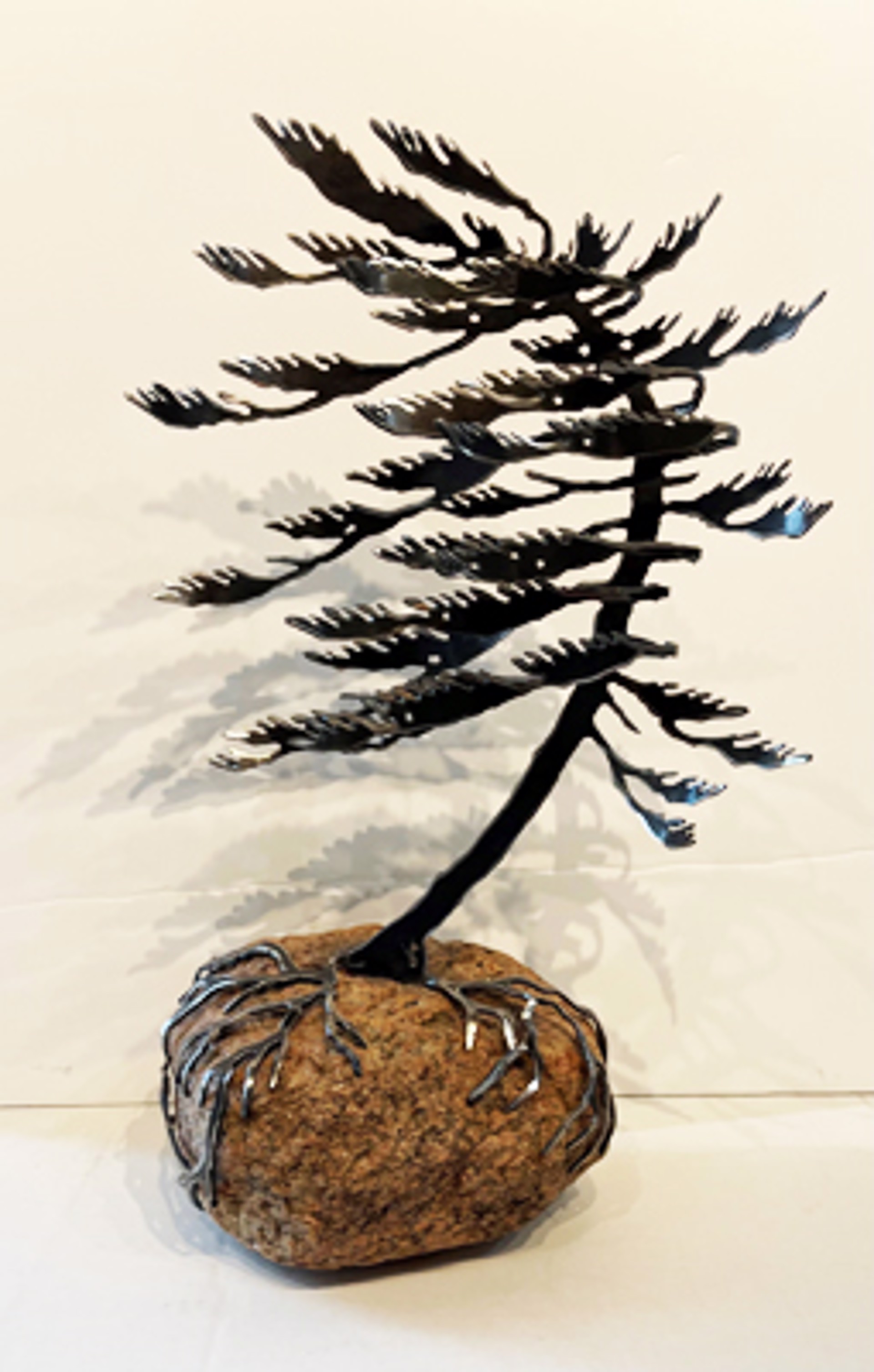 Windswept Pine 659529 by Cathy Mark